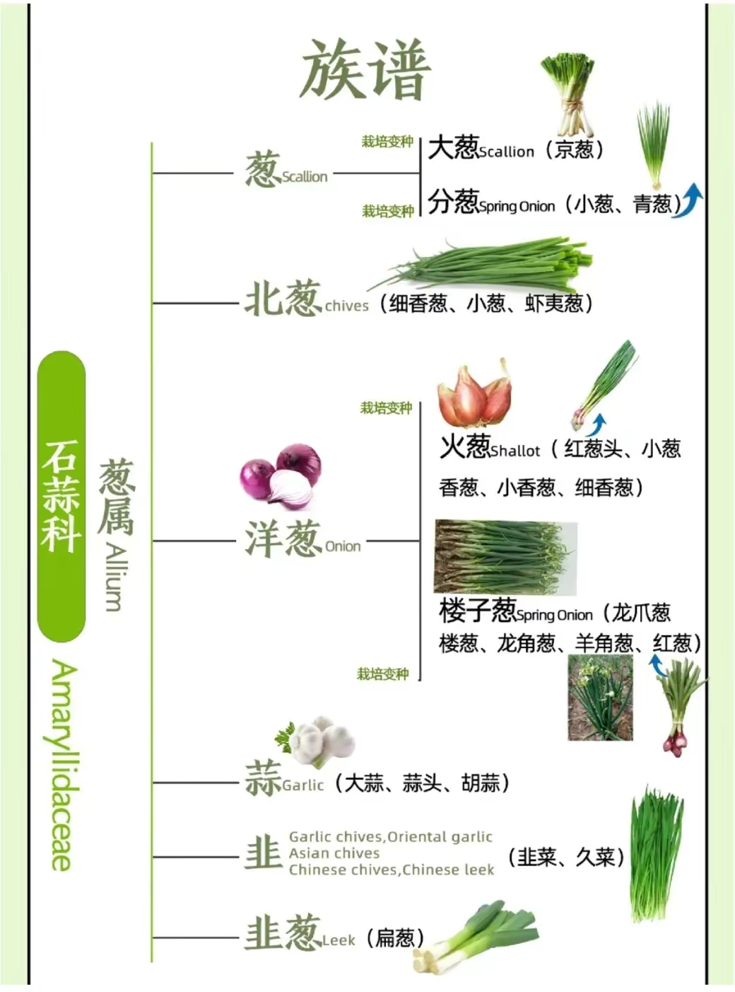 上海厨房三宝图片