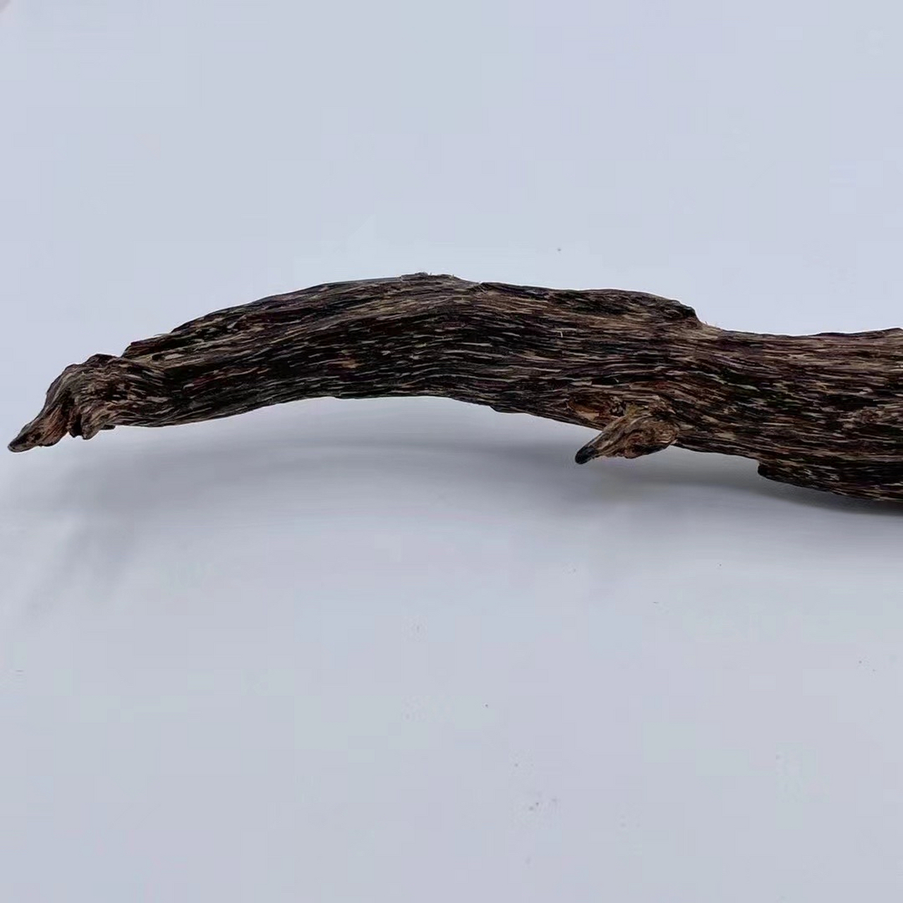 简述:百年达拉干沉香树心油, 纯野生结香,香味花香浓郁持久, 刮粉上炉