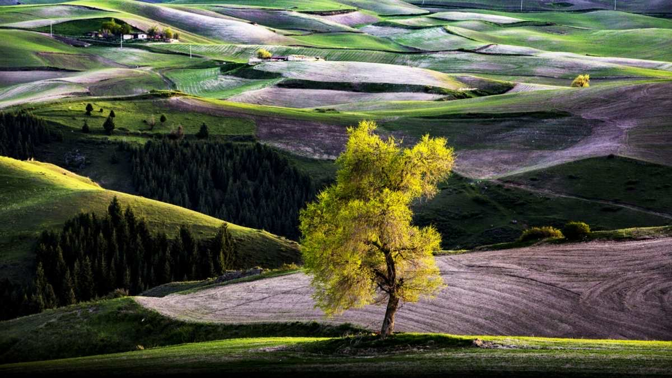 新疆江布拉克景区,大自然所赋予的美景,可以让我们尽情的享受.