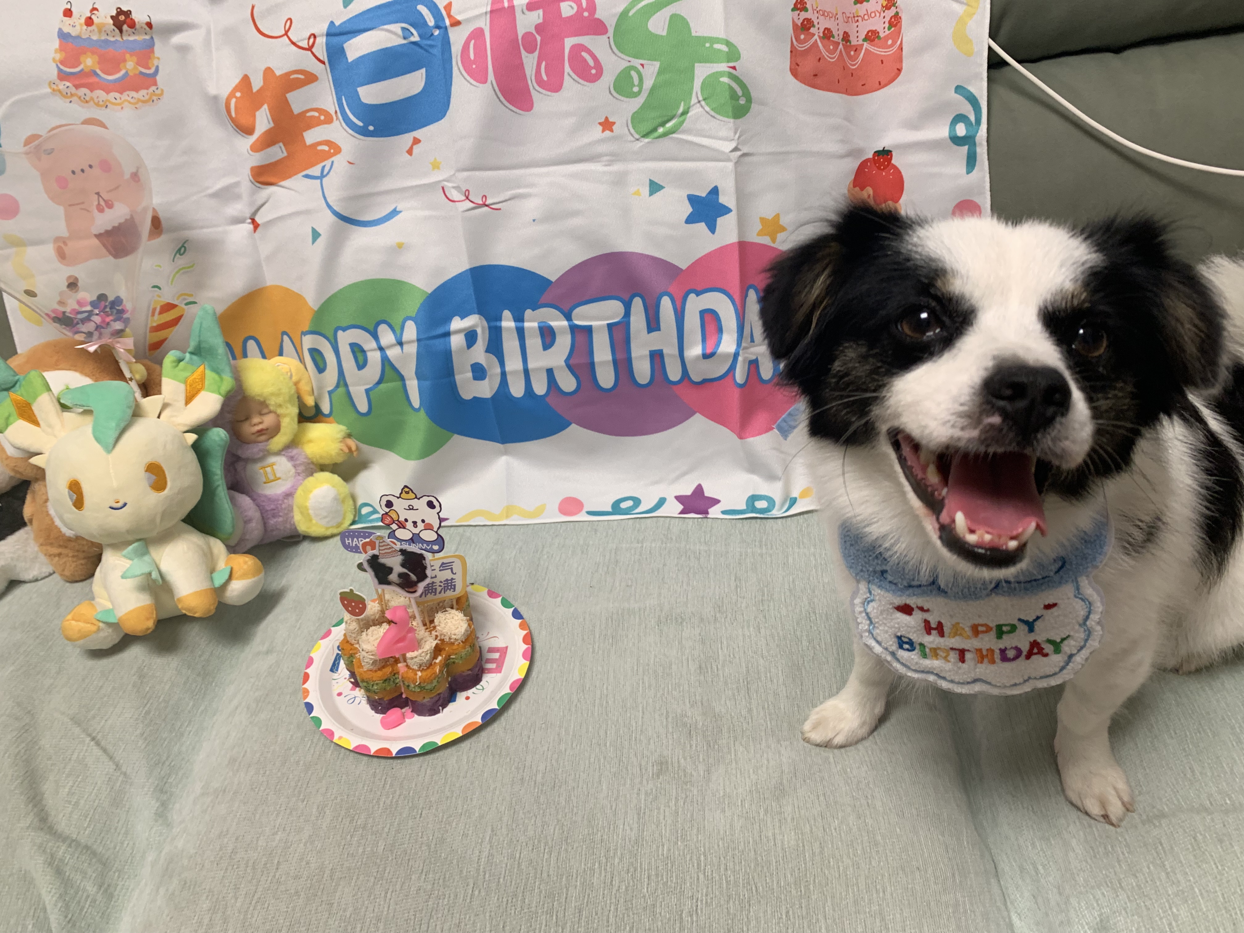 生日小狗知道吗,不过时自我感动罢了,我回答:小狗当然知道啦 图图的