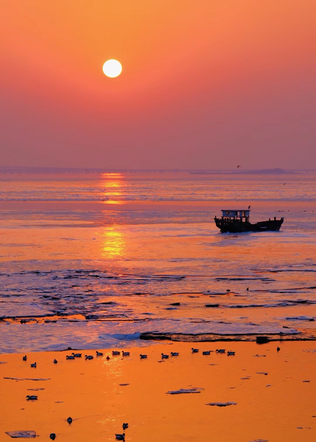 青岛,结冰的大海与粉色的落日绝美,海冰和粉色日落下来的极致浪漫,有