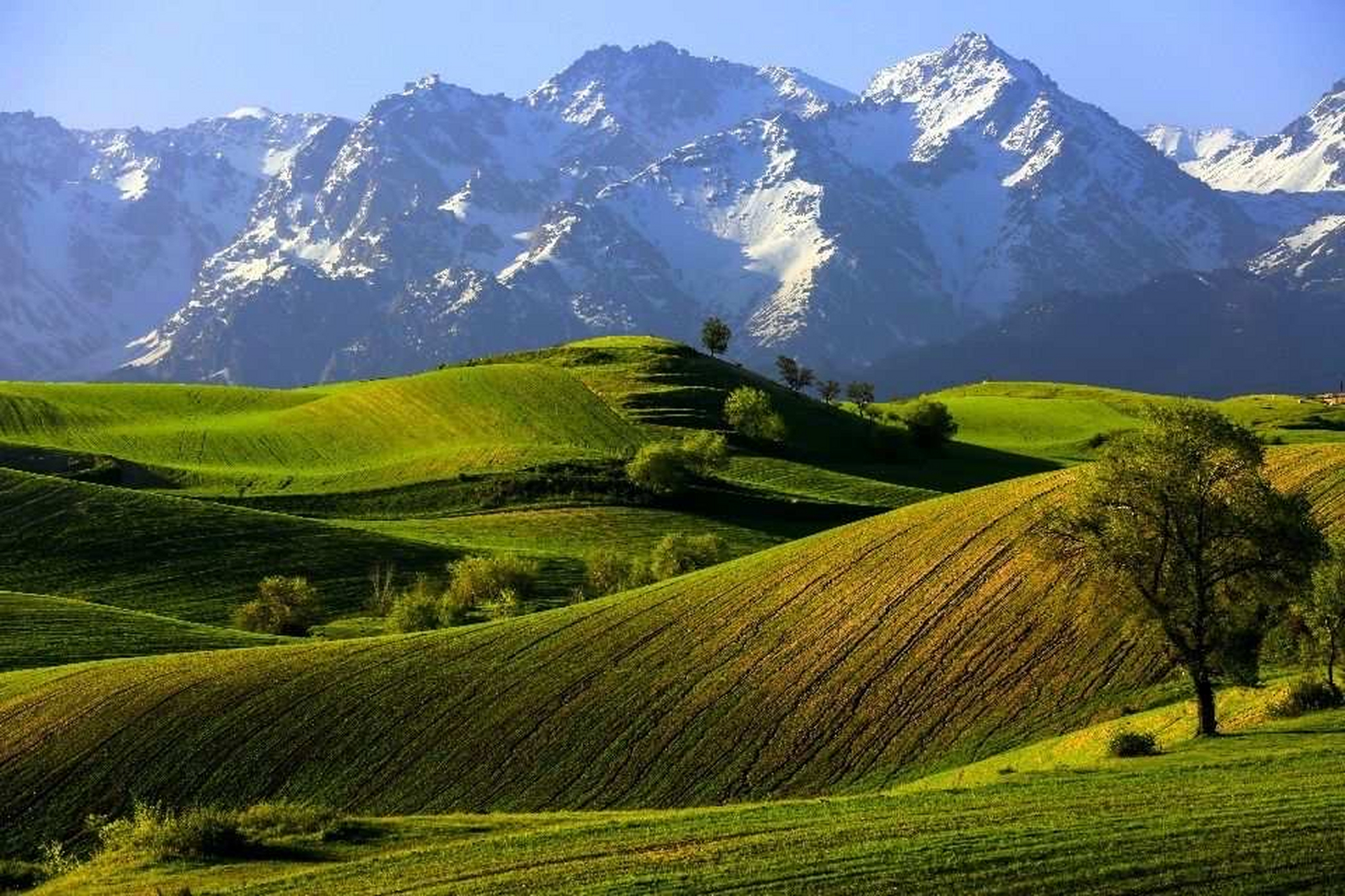 新疆江布拉克景区,大自然所赋予的美景,可以让我们尽情的享受.