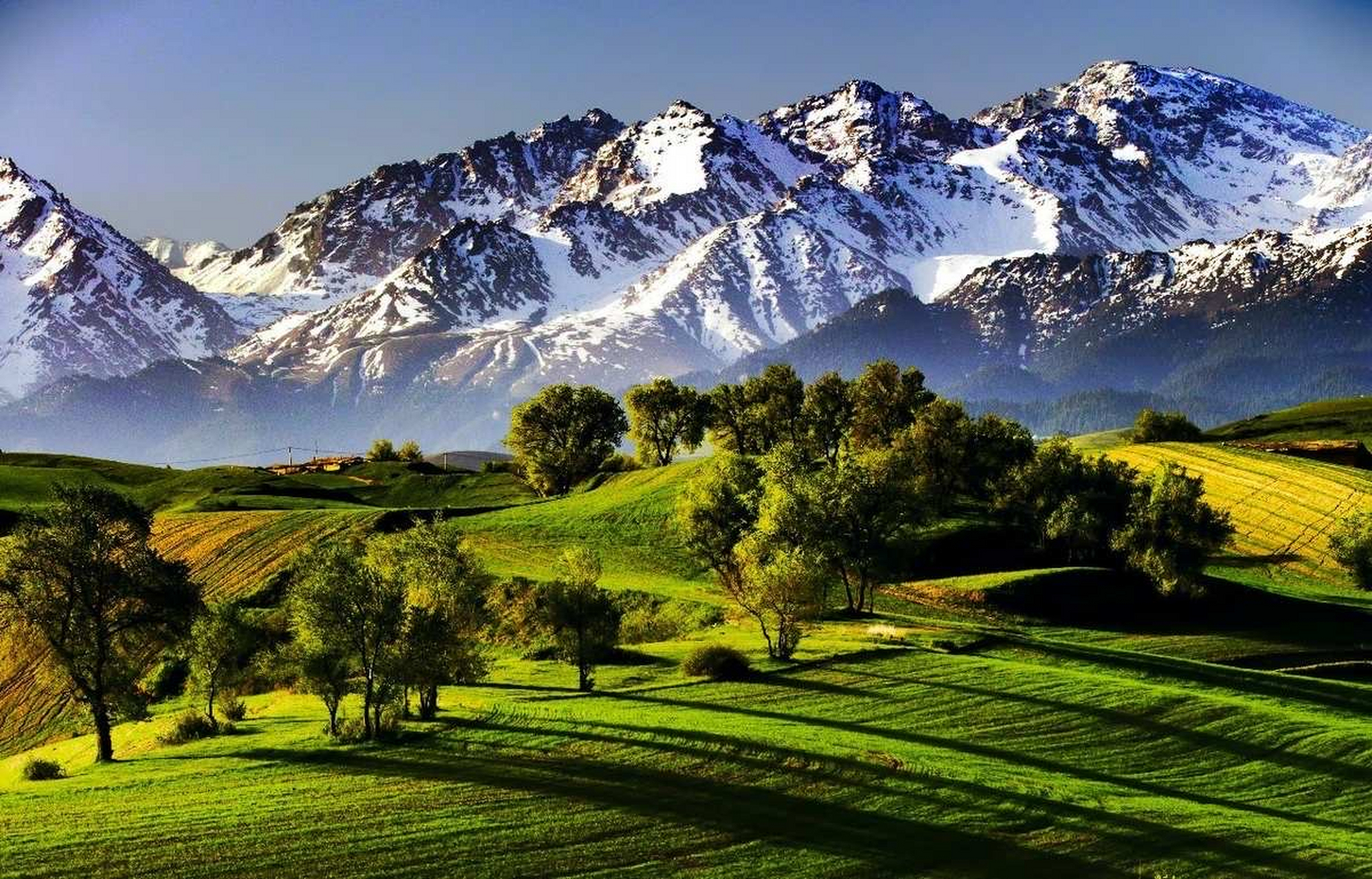 新疆江布拉克景区,大自然所赋予的美景,可以让我们尽情的享受.