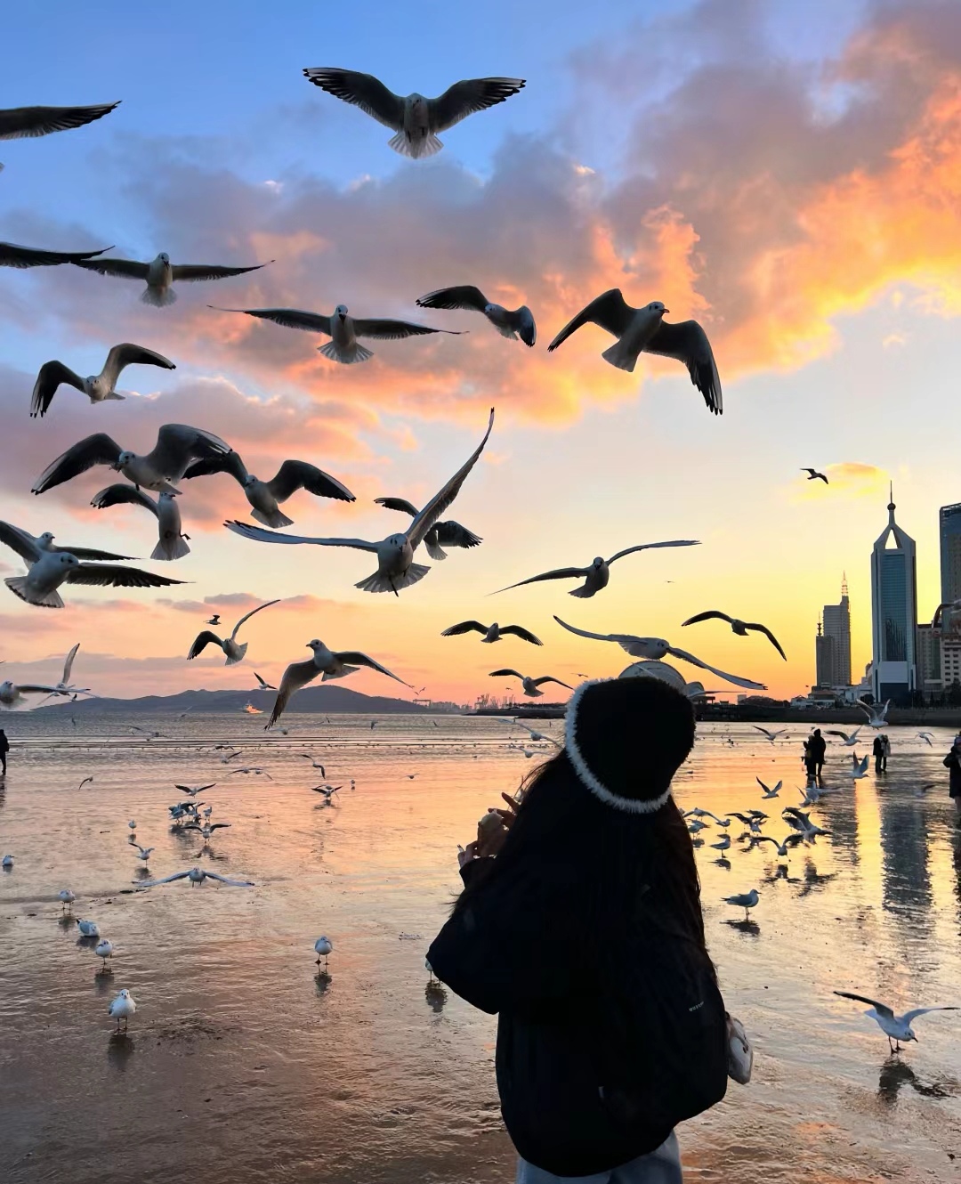 冬天来青岛一定要去青岛栈桥喂海鸥,超级亲人,出青岛站200米,就能看到