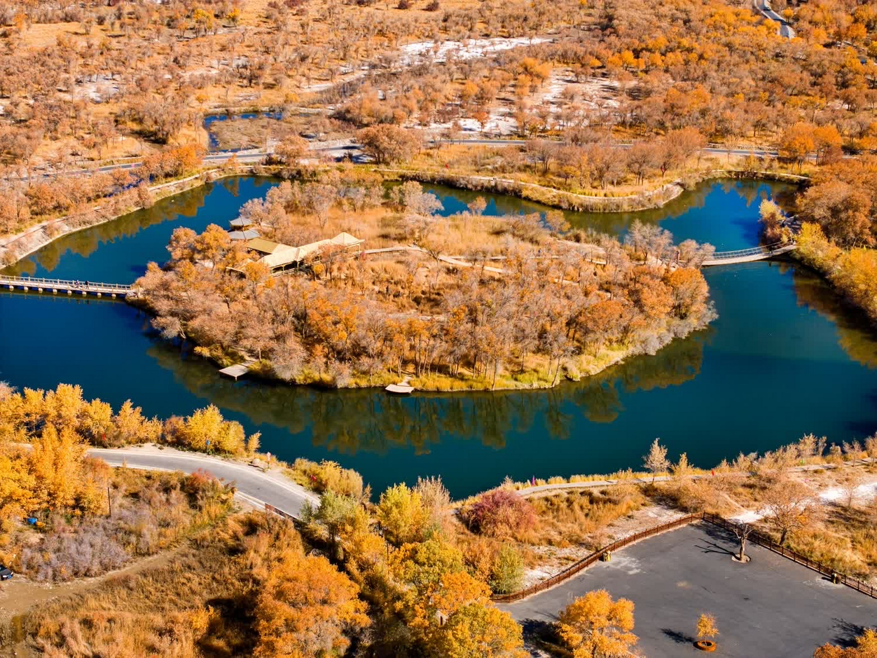 泽普金胡杨国家森林公园,它位于距泽普县西南36公里处的亚斯敦林场