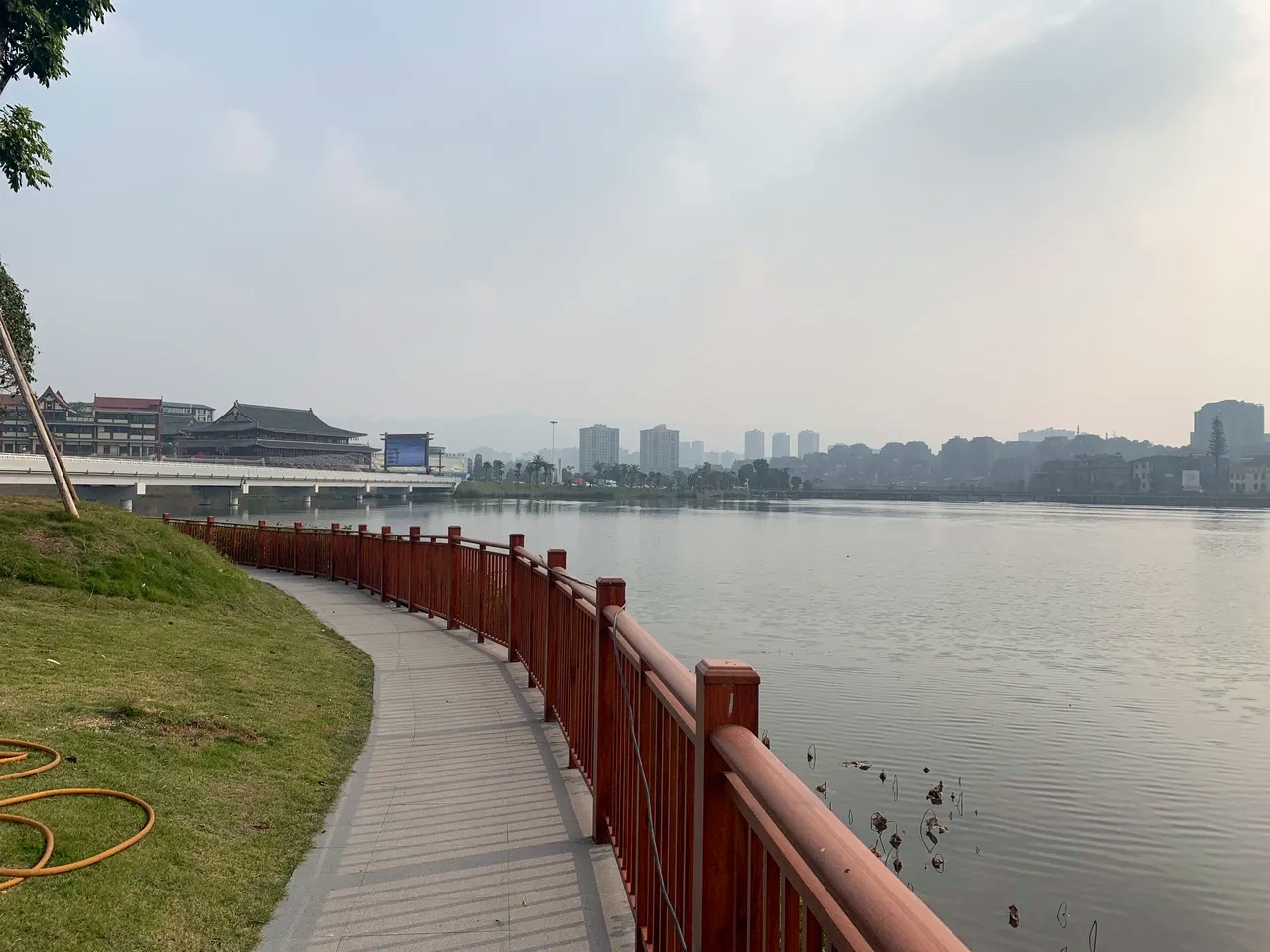 御湖新区:璧山的生态明珠,四季如画的未来