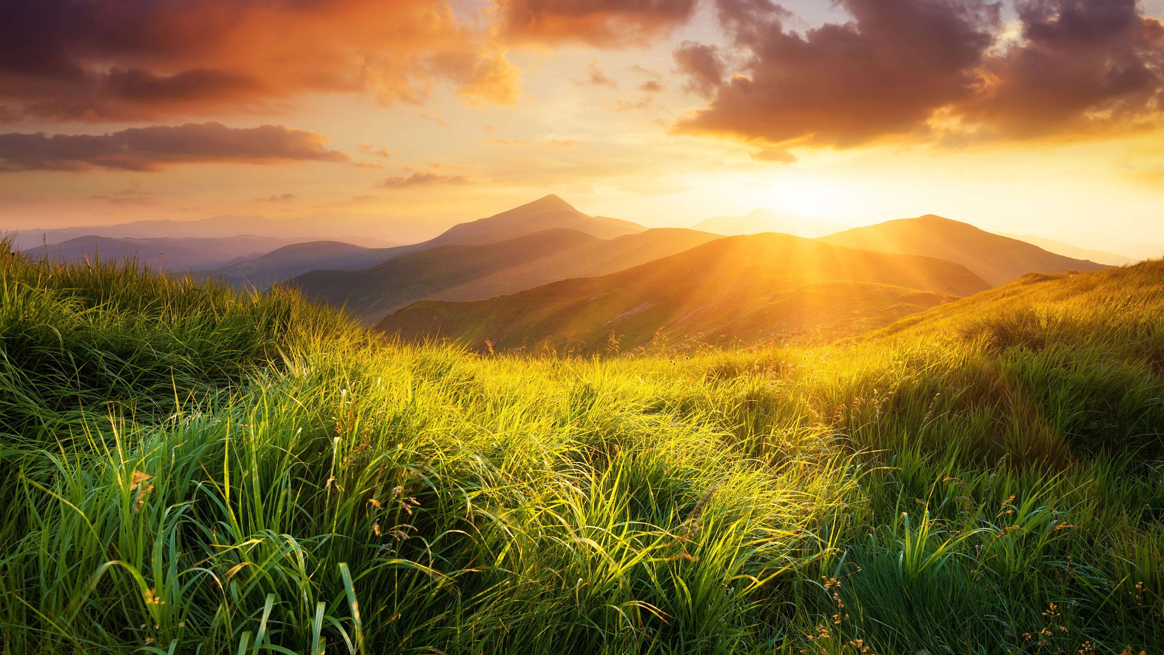 欣赏自然之美,尽得清欢