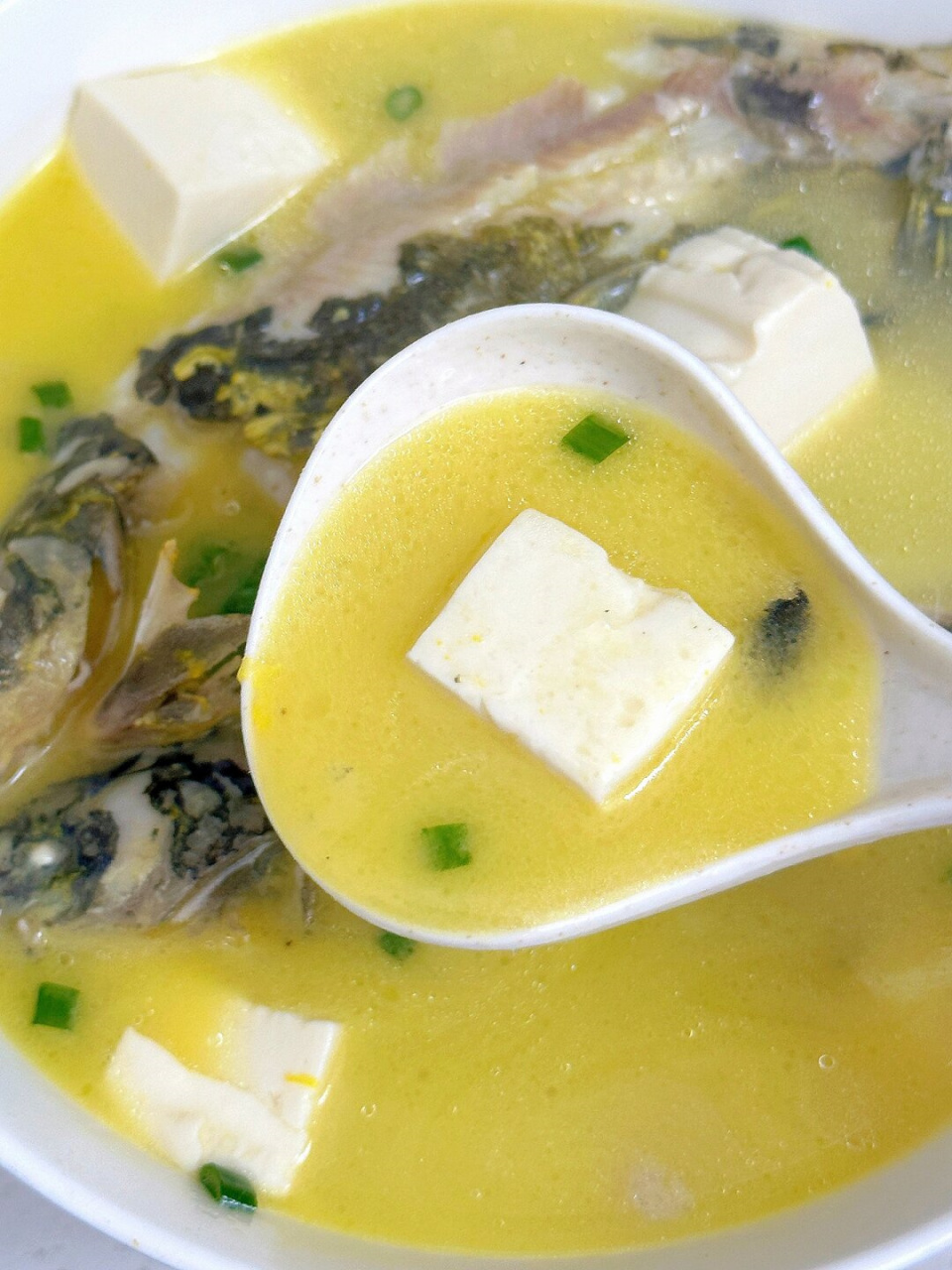 金秋十月,气温逐渐降低,一碗热腾腾的昂刺鱼汤能为你驱寒暖身.