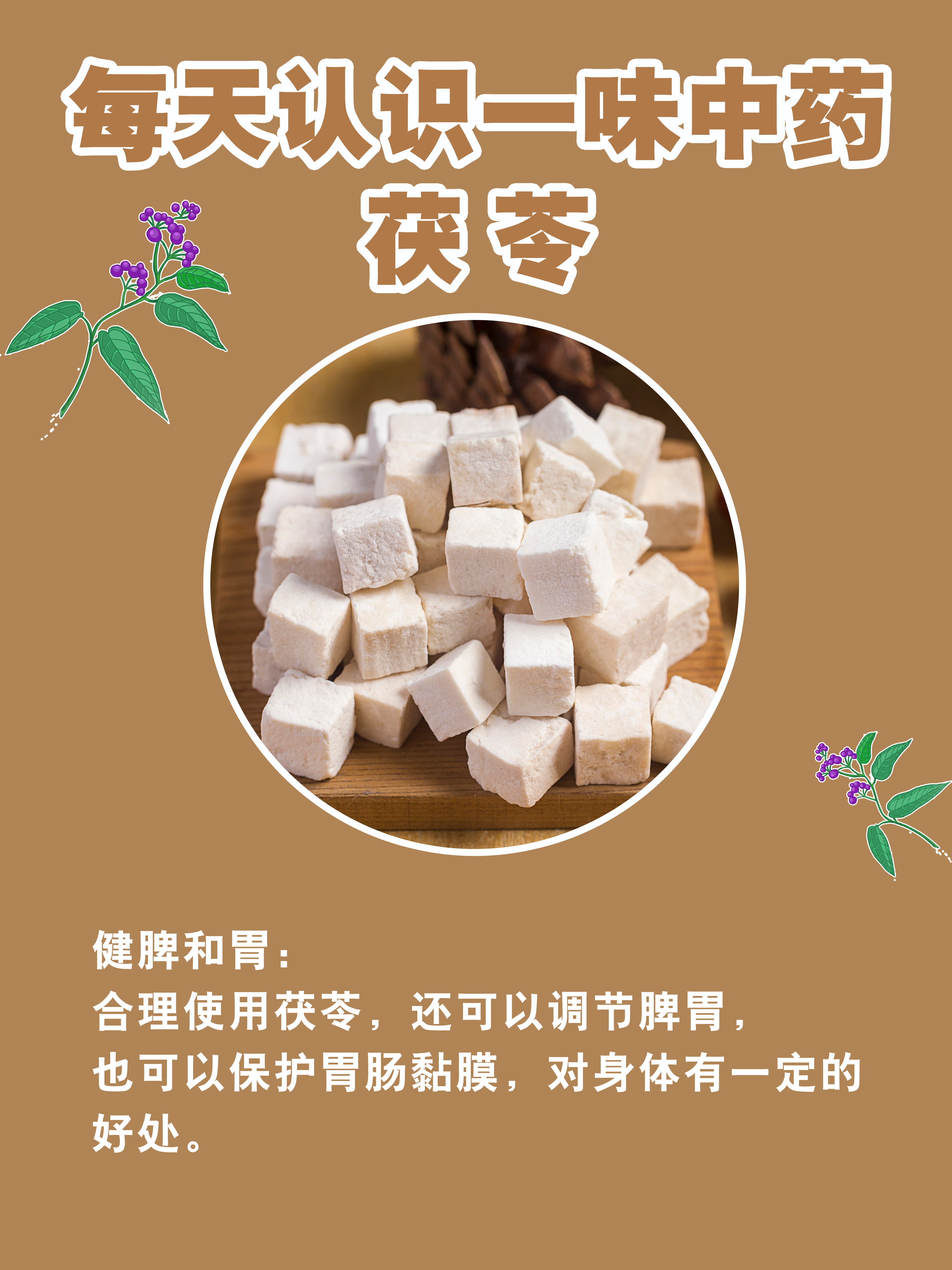 经常吃茯苓,对身体有一定的好处.那么茯苓的功效作用与主治有哪些呢?