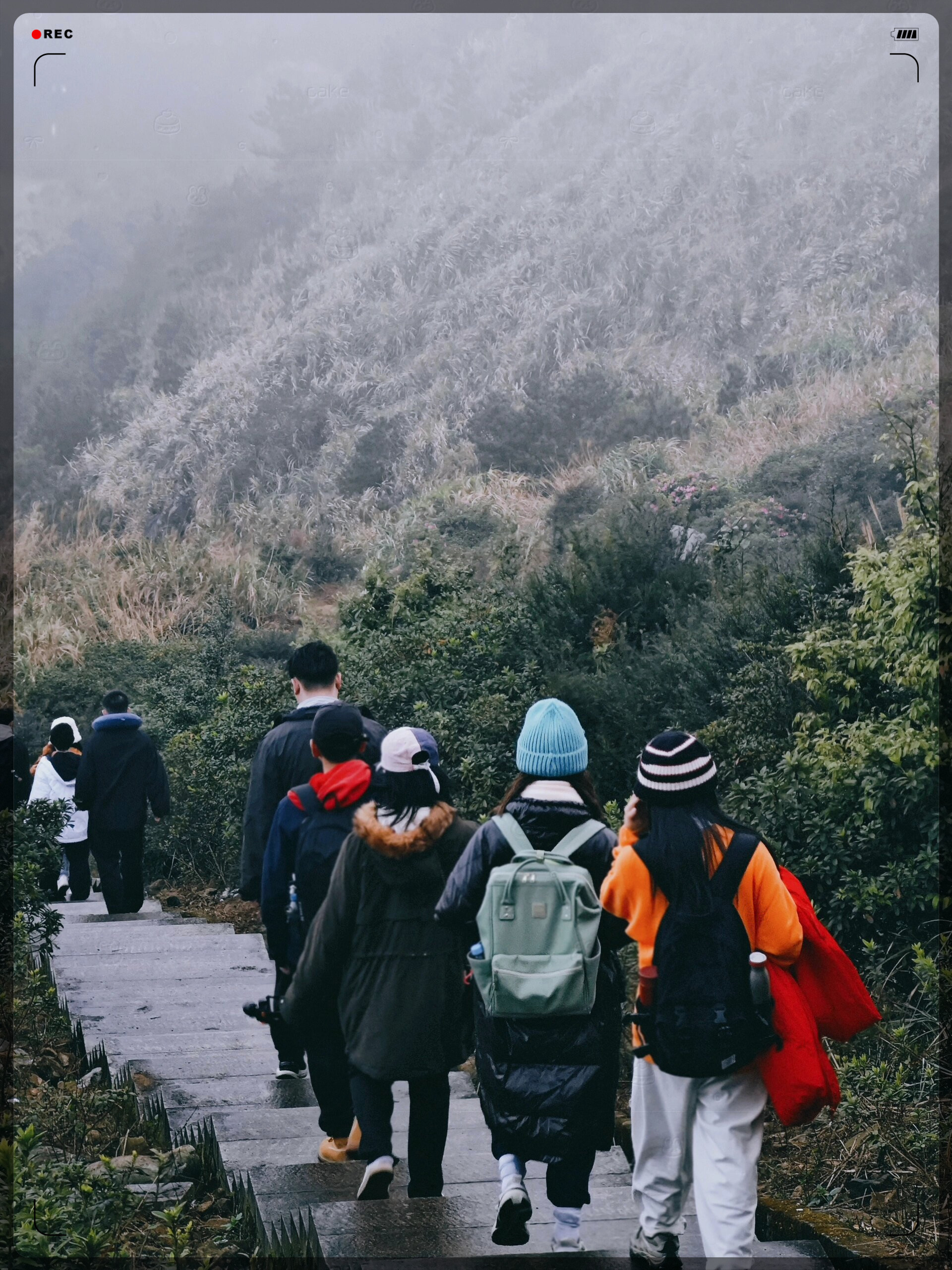 人生不是旷野是旷工  闽南第一高峰,大芹山,3388个阶梯,白茫茫一片.