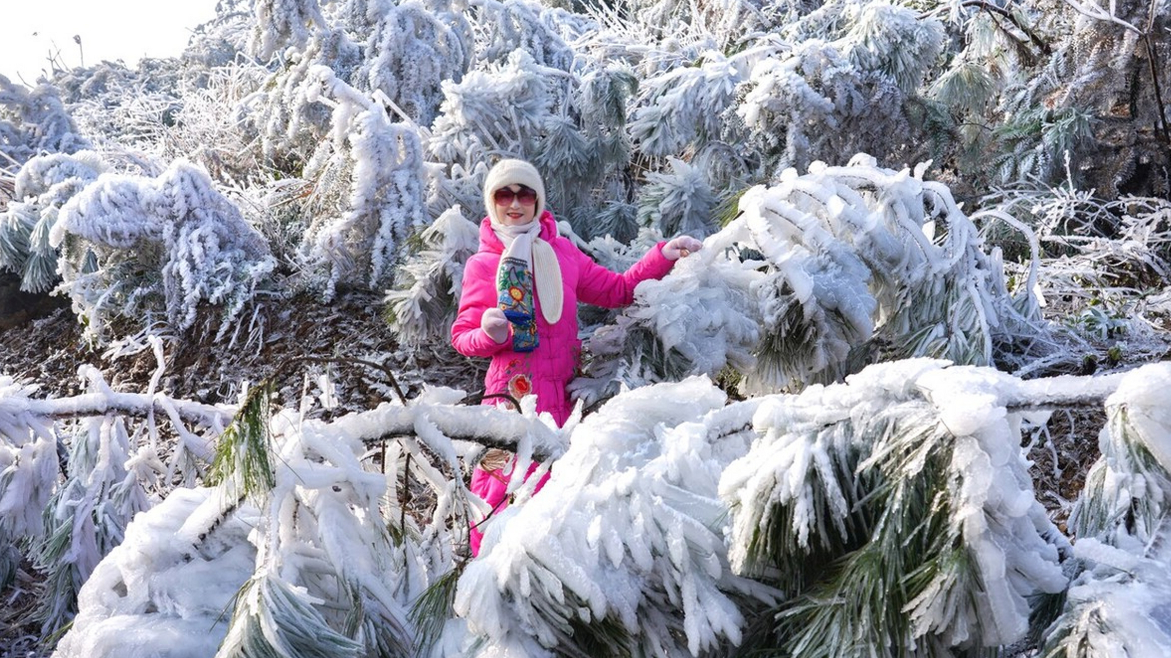 黄花岭雪景图片