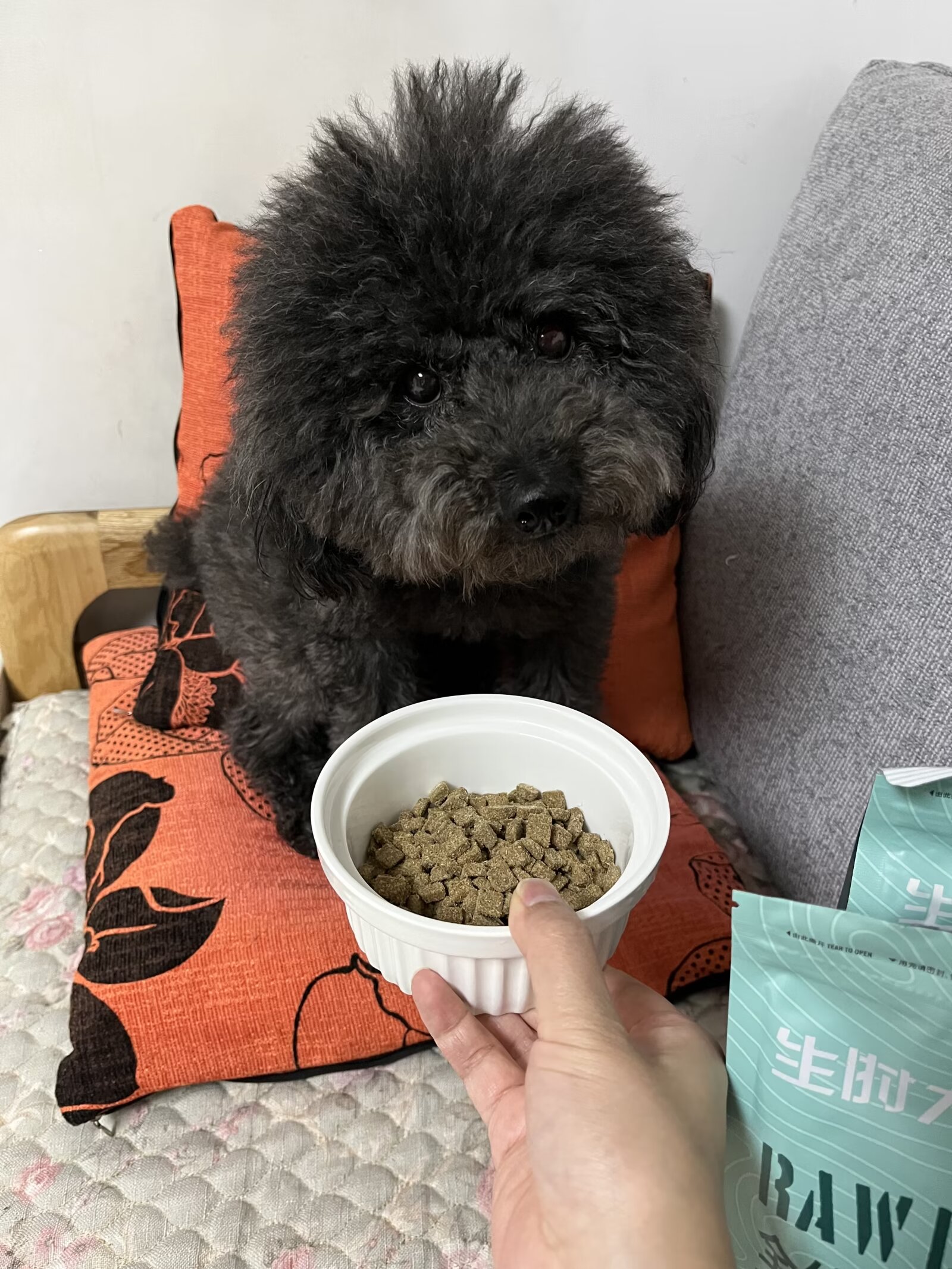 适口性很好但是小甜甜吃了会软便的狗粮