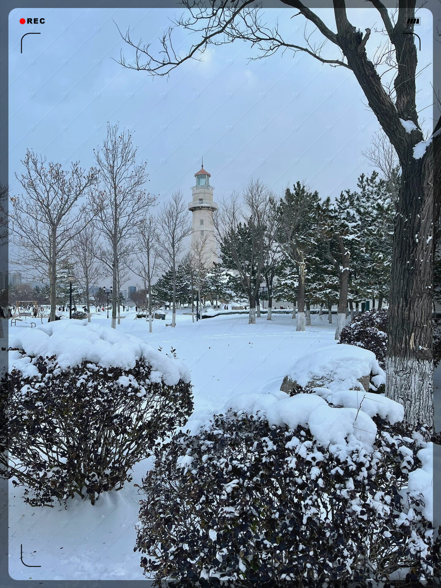 威海雪景 街区图片