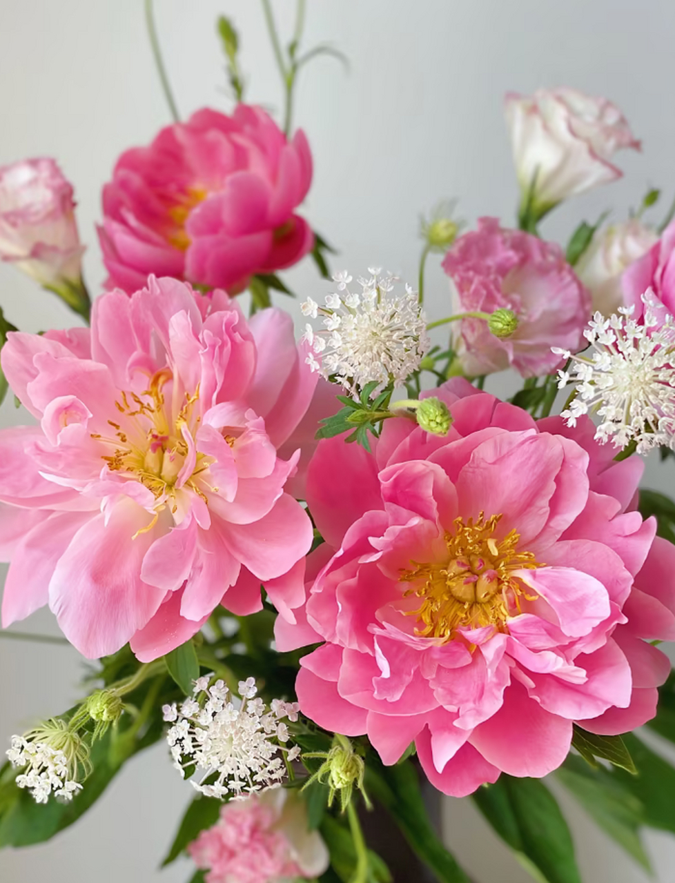 夏威夷珊瑚芍药与泡菜罐的邂逅:一段美丽的风景 夏威夷珊瑚芍药与泡菜