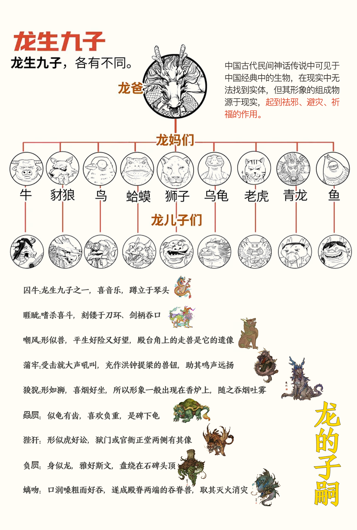 了解生肖属龙的人运势如何(了解生肖属龙的人运势如何呢)