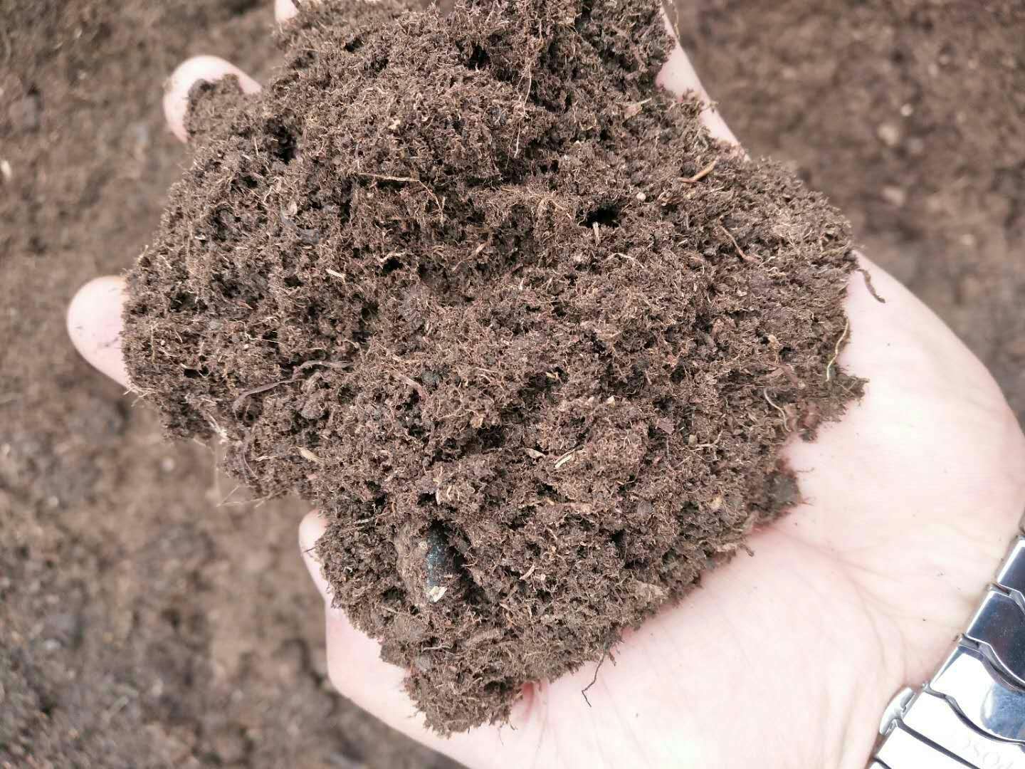 如何选择腐殖土:避坑指南攻略来了