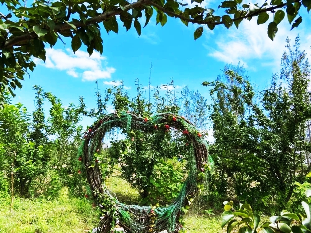 东营花仙谷:梦幻仙境的秘密