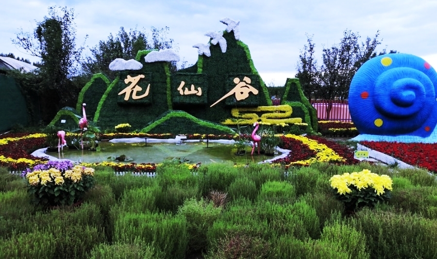东营花仙谷:梦幻仙境的秘密