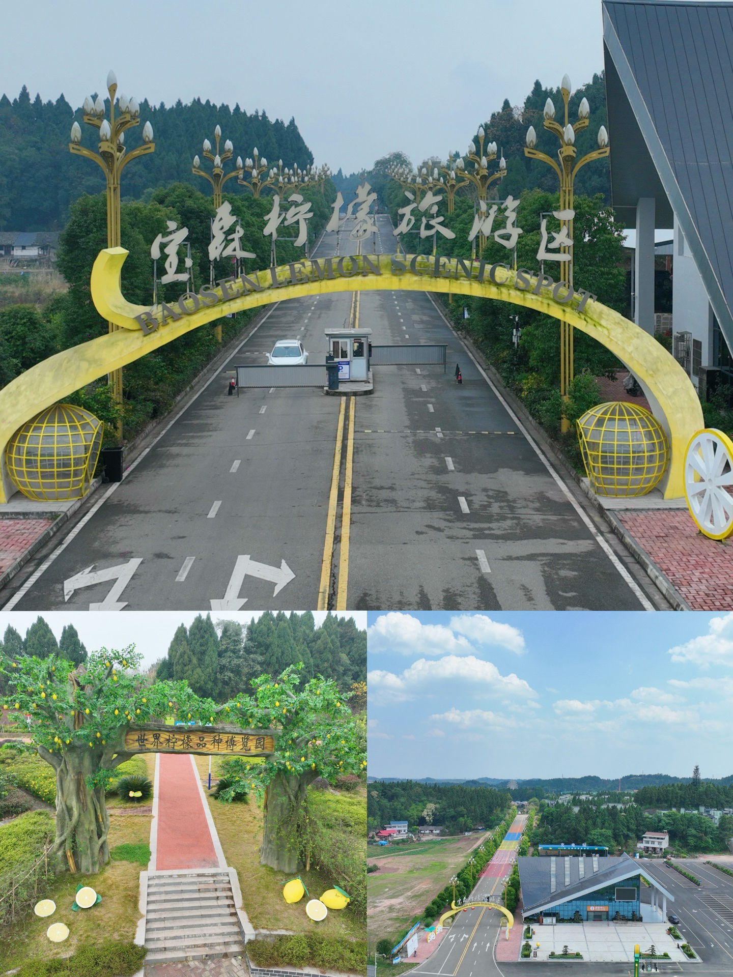 四川安岳柠檬之乡