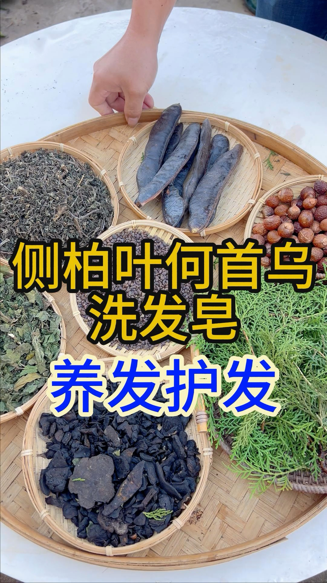 千万别用无患子洗头了图片