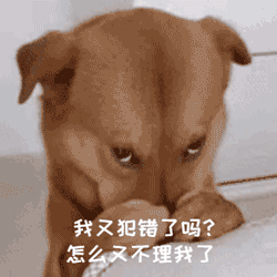 在狗狗眼中,主人的这些行为,无异于"抛弃"它