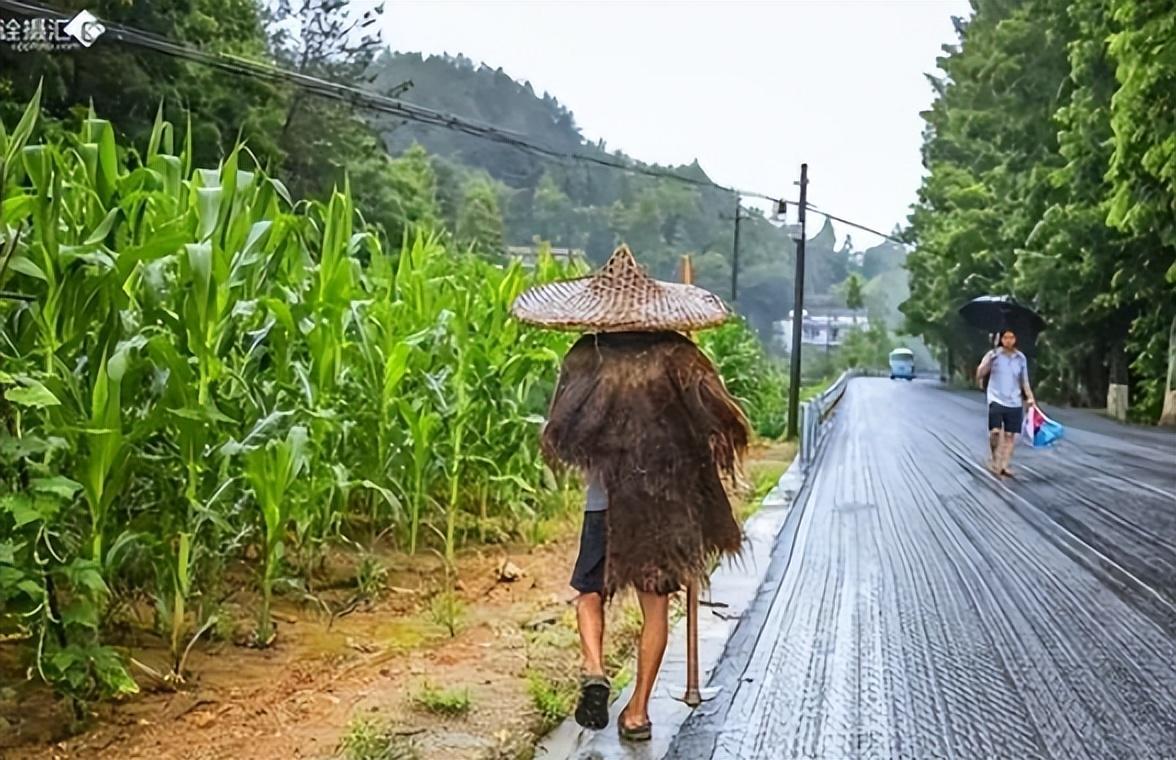 直接就不方便勞作,勞動人民們還是更傾向於使用古代的雨衣——蓑衣