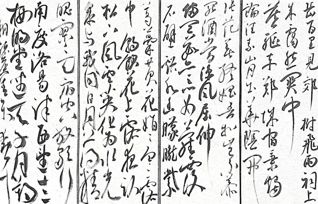 王建福丨书画作品欣赏