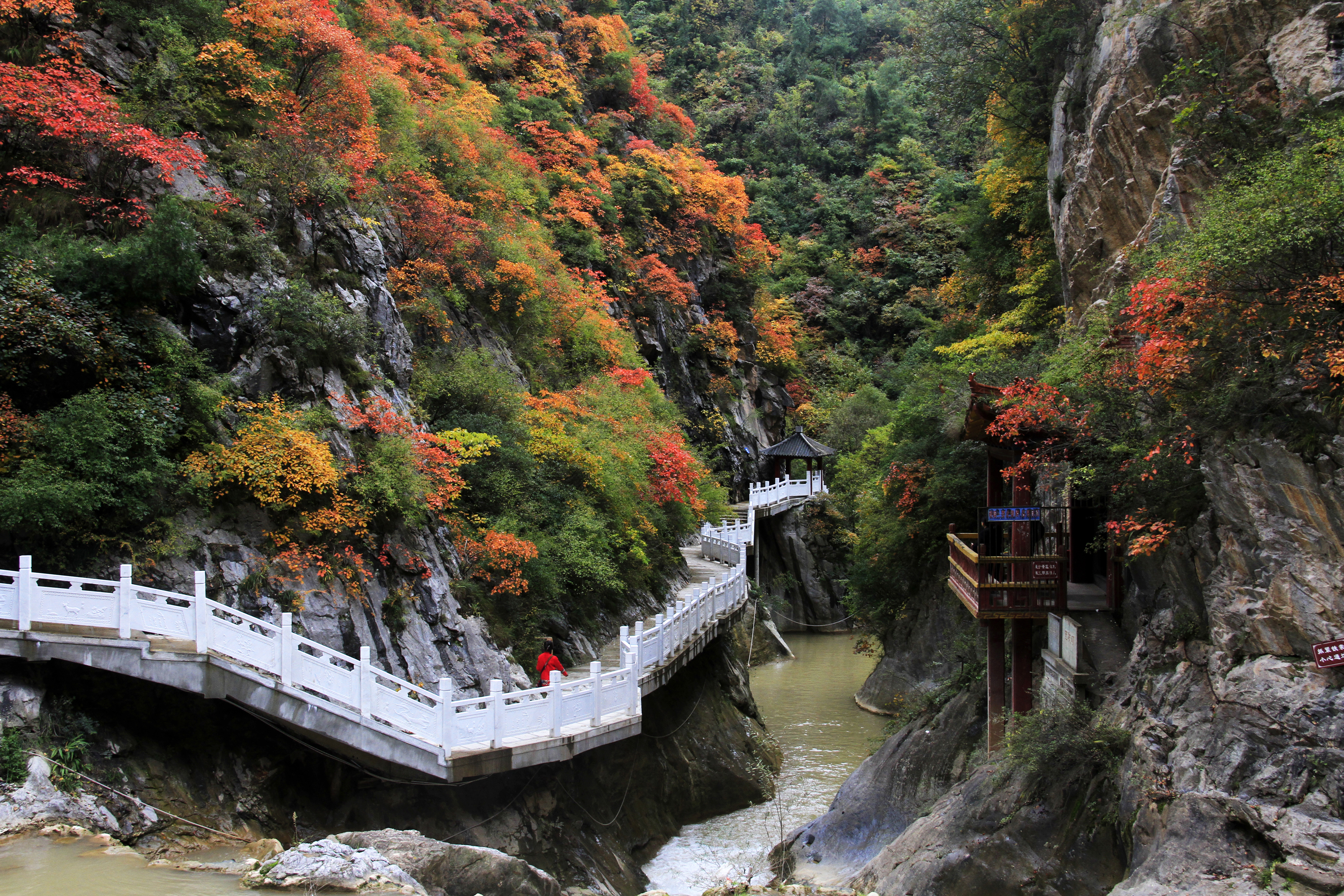 陇南旅游景点排名图片