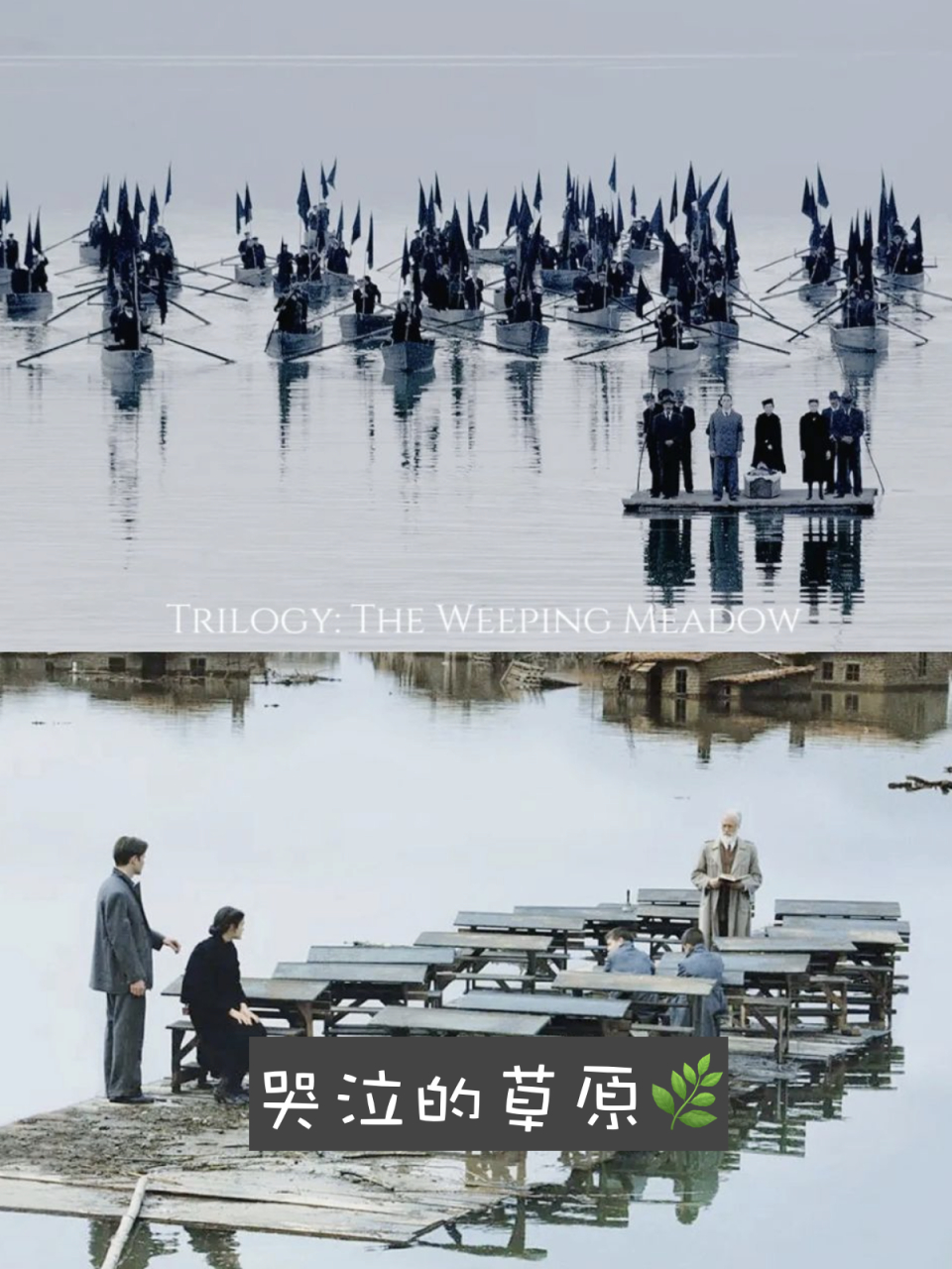 《哭泣的草原》:冬日里的心灵震撼,一部充满诗意的经典电影!