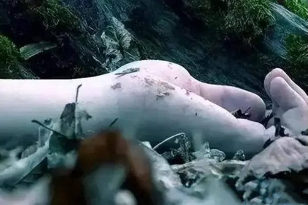 "英雄救美"竟是死亡陷阱!1999年绥芬河边境无名女尸案侦破始末