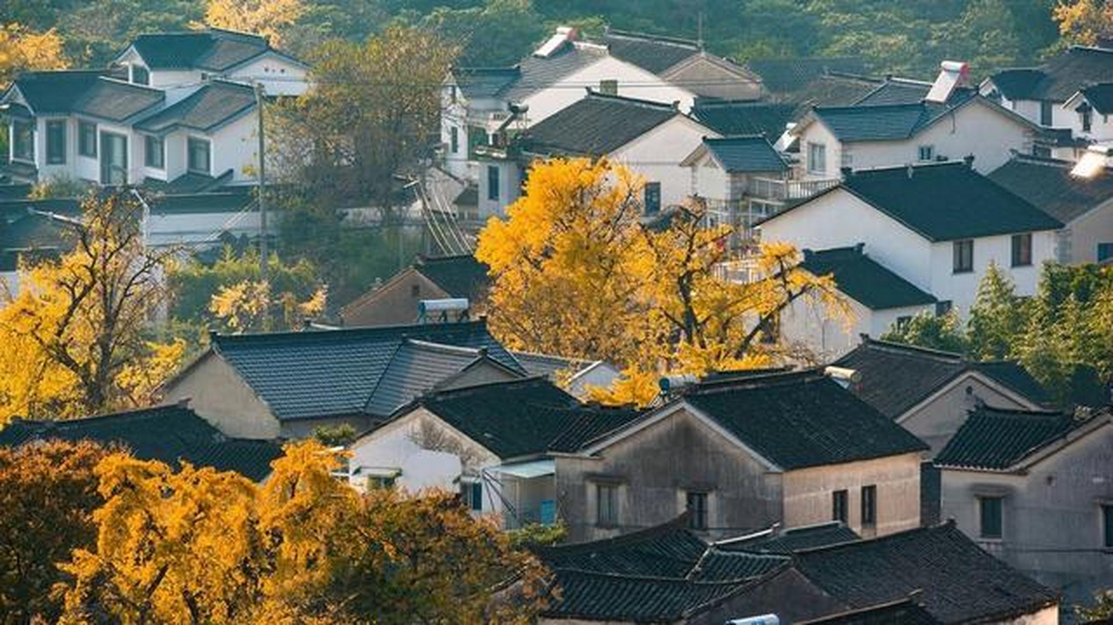 杨湾古村位于苏州吴中区,历史悠久,保留着明清建筑风貌.