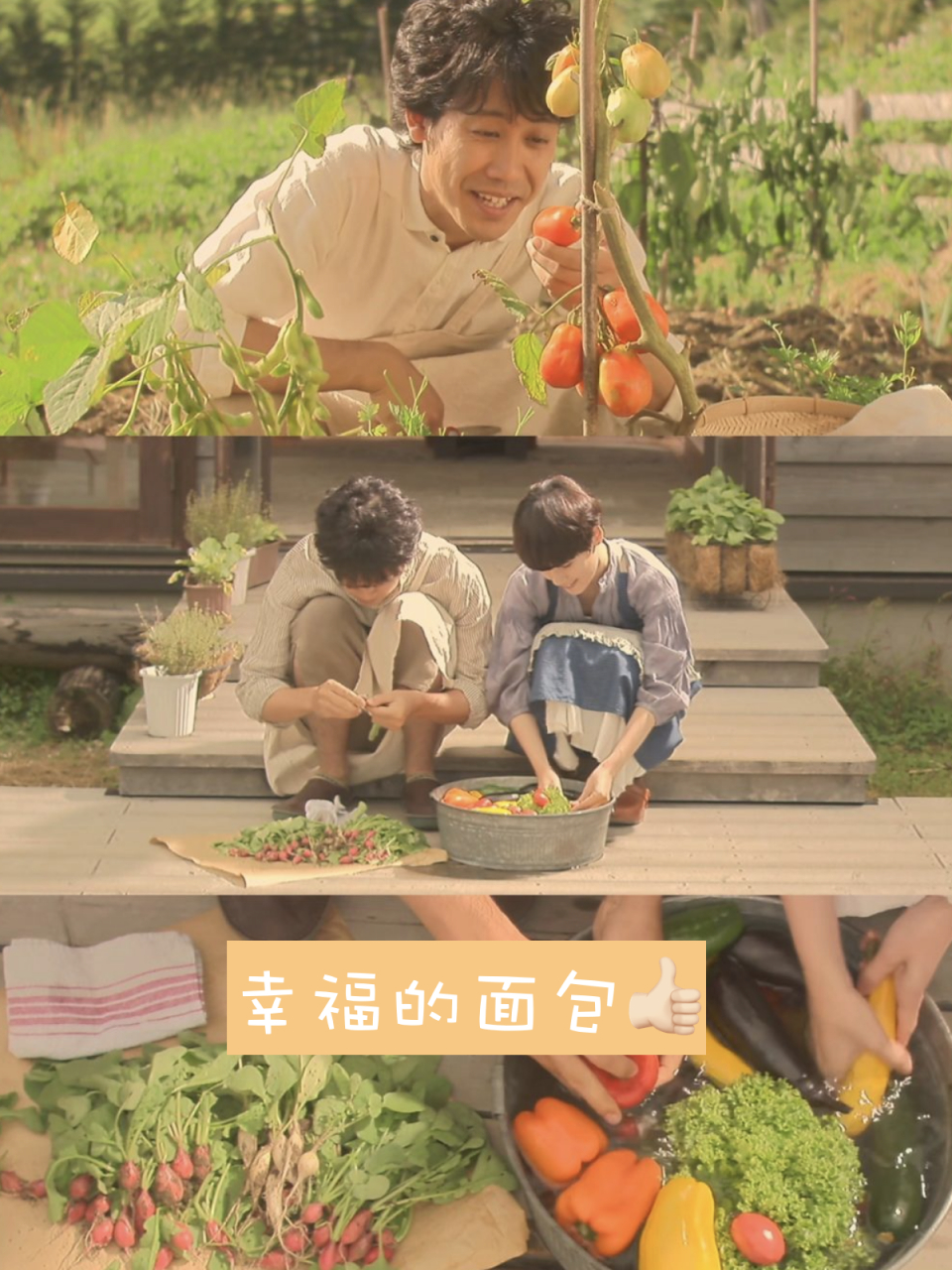 《幸福的面包》:冬日里的暖心治愈,让你感受生活的美好!