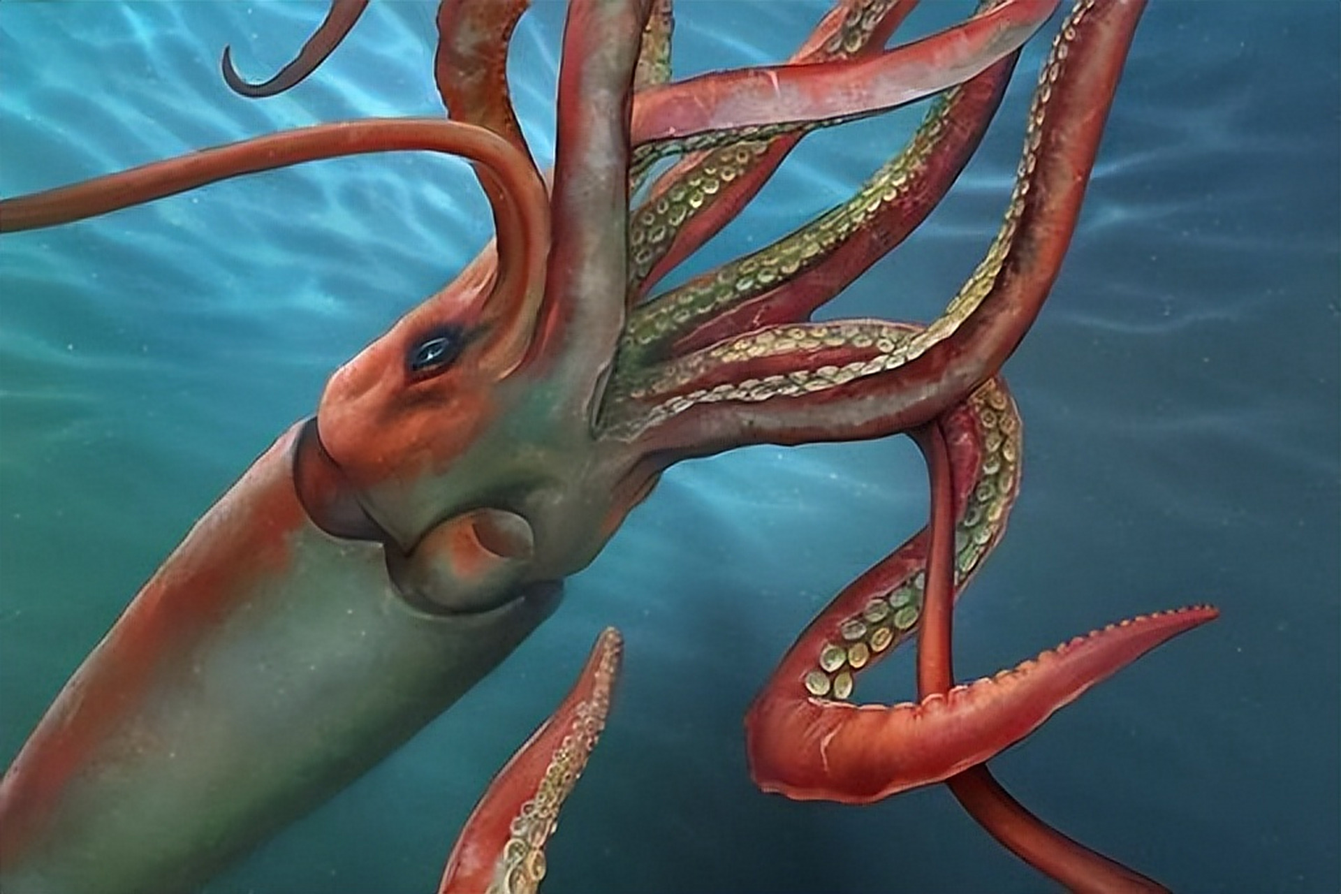 摘要: 乌贼拥有超常的视觉感知能力,能够捕捉到超出人类可见光范围的