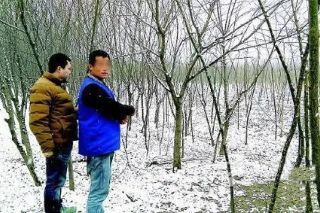 "英雄救美"竟是死亡陷阱!1999年绥芬河边境无名女尸案侦破始末