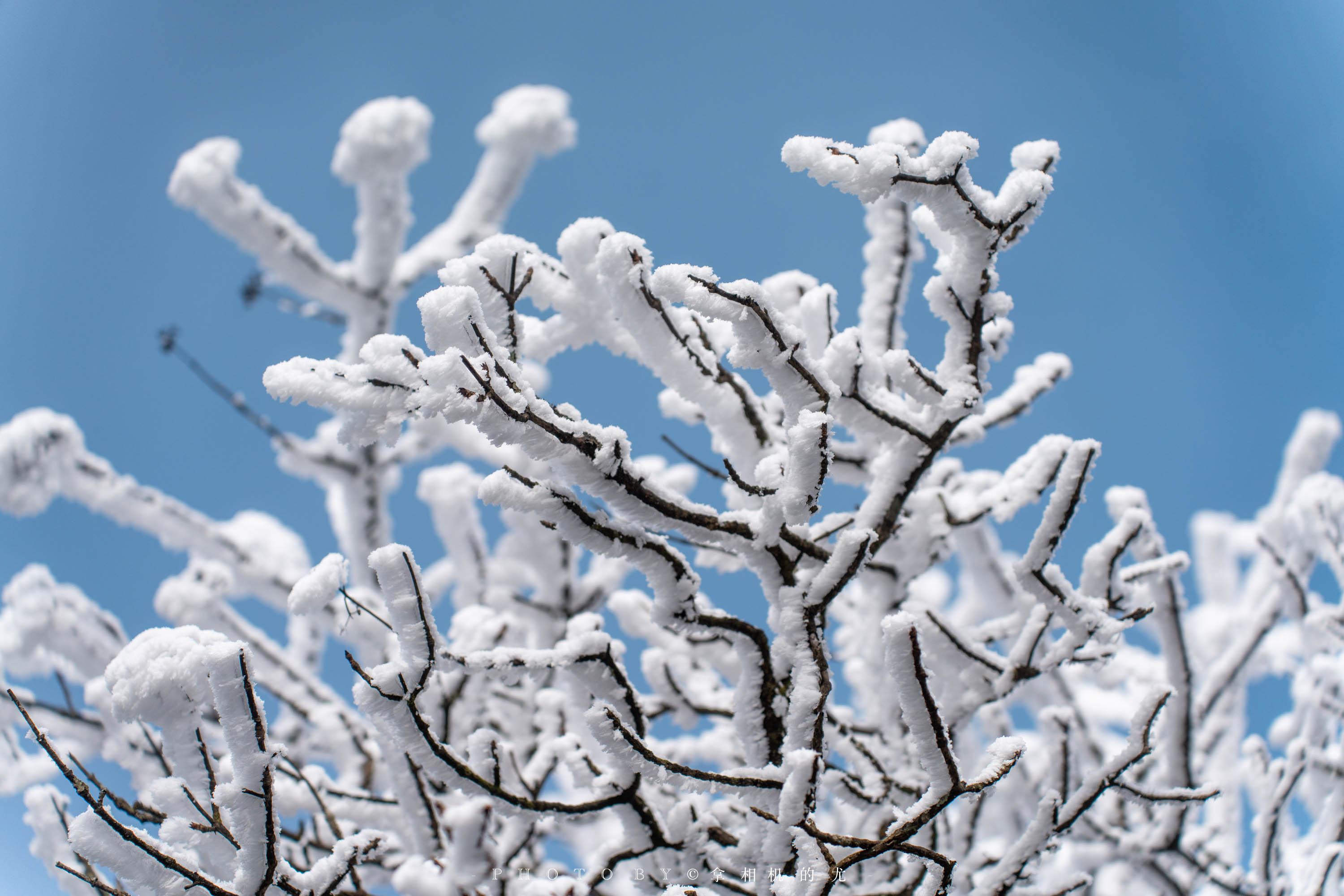 南川金佛山下雪图片