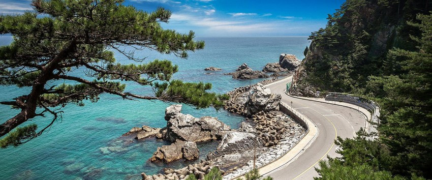 围棋,国际象棋,高尔夫相遇!café bachef,业余6段举办围棋吧?