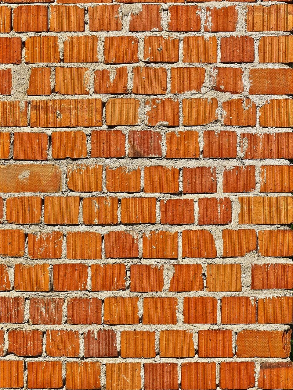 农村常用的红砖头为何被禁止使用?揭秘专家们背后的秘密!