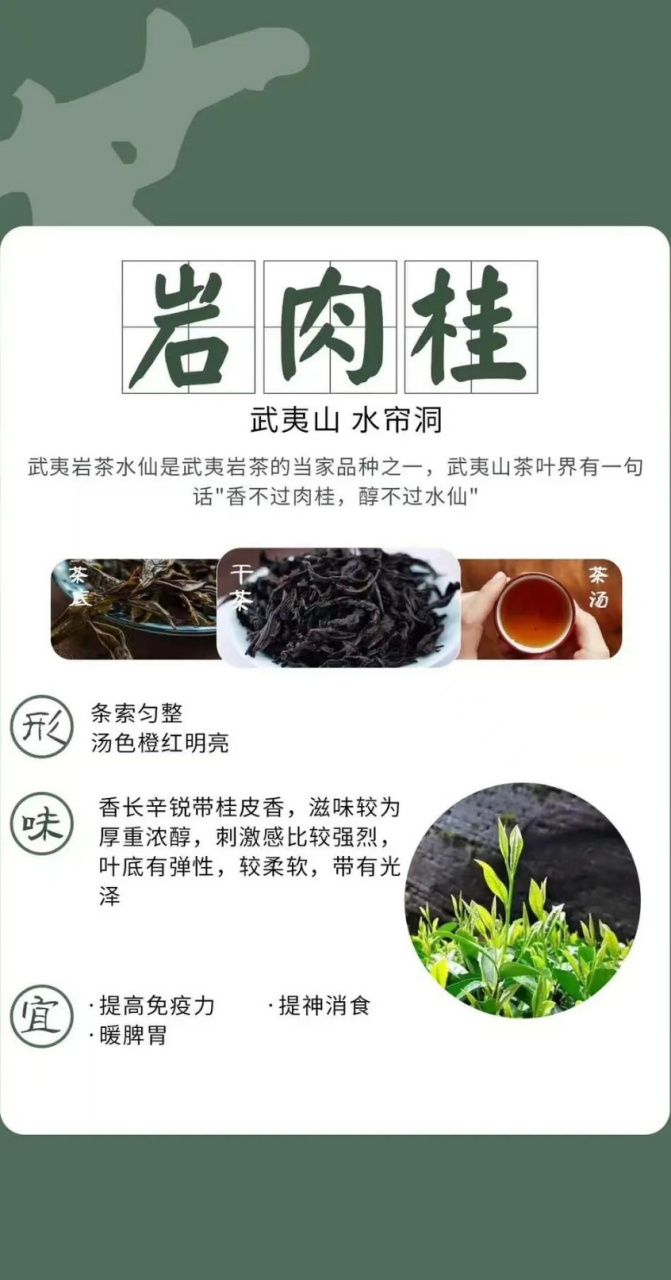 武夷岩茶十大名枞图片