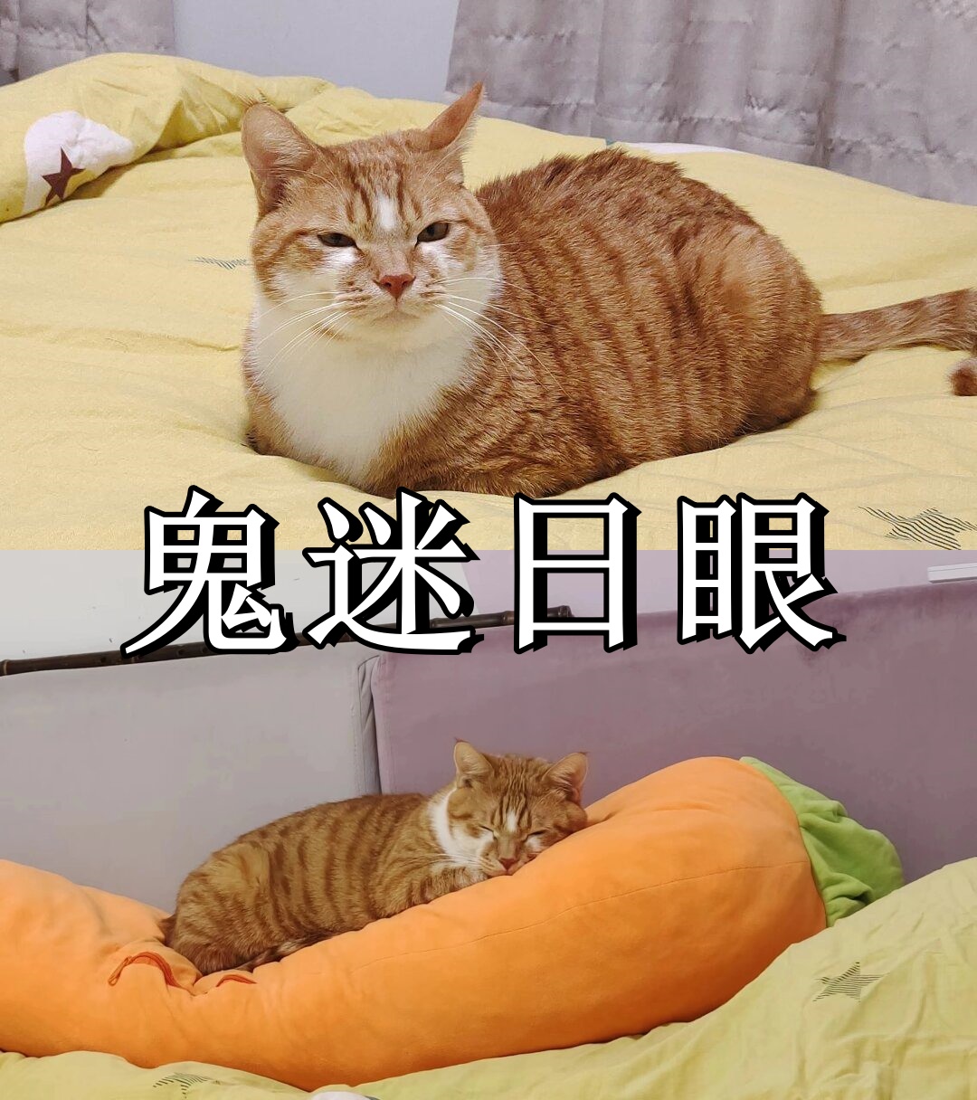 鬼迷日眼
