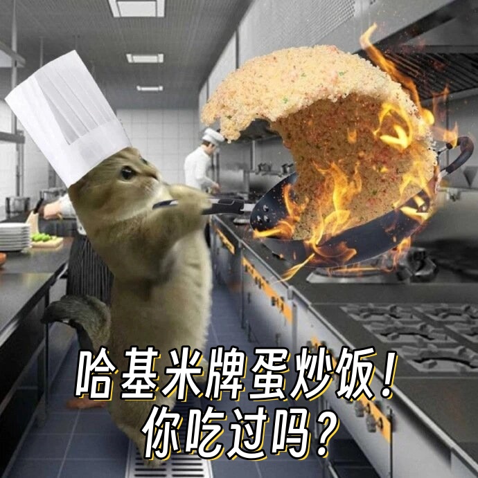 猫师傅,来份蛋炒饭,不要饭不要蛋