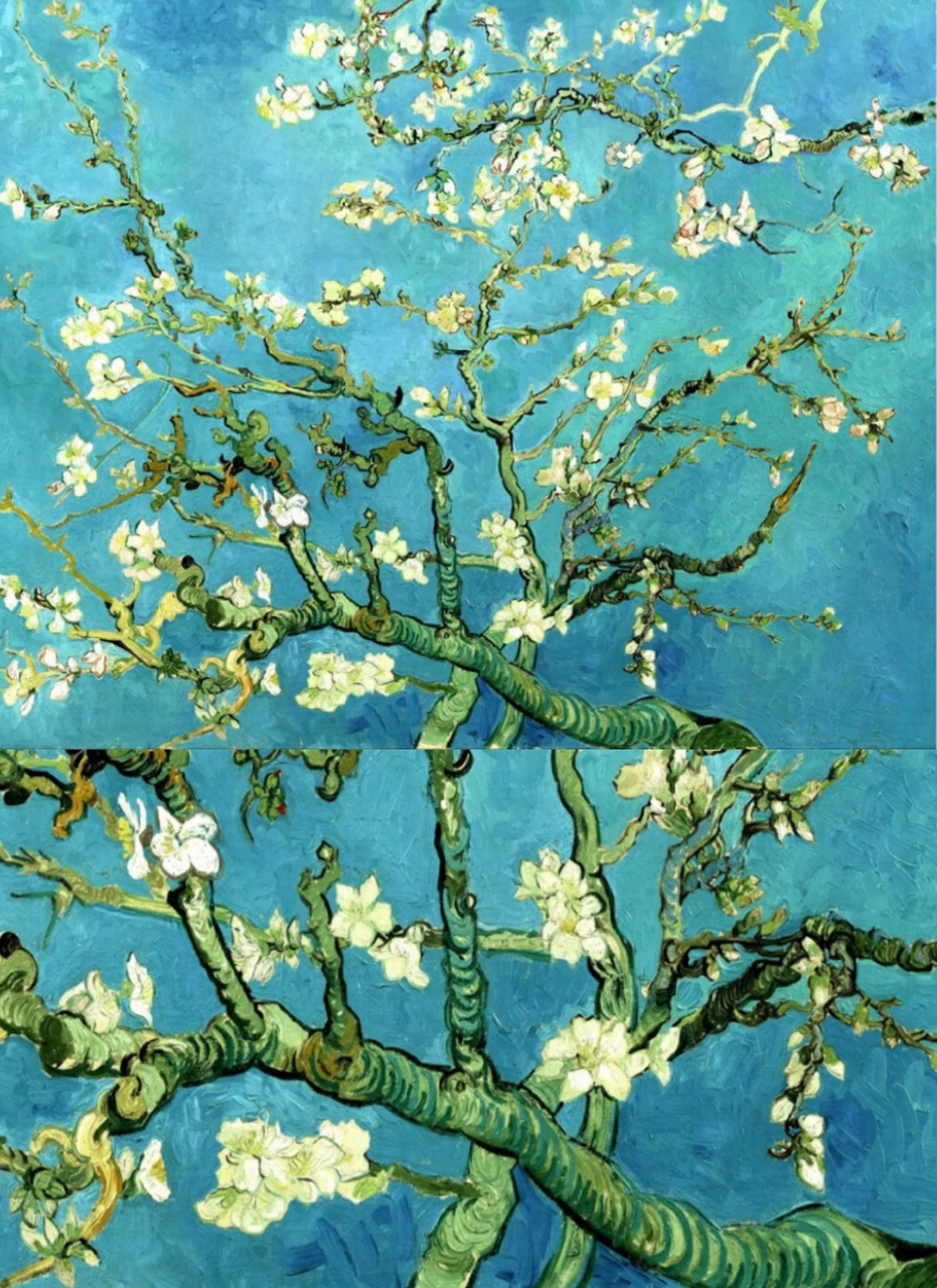 世界名画梵高的杏花  梵高在创作这幅画时,心中充满了对刚出生侄子的