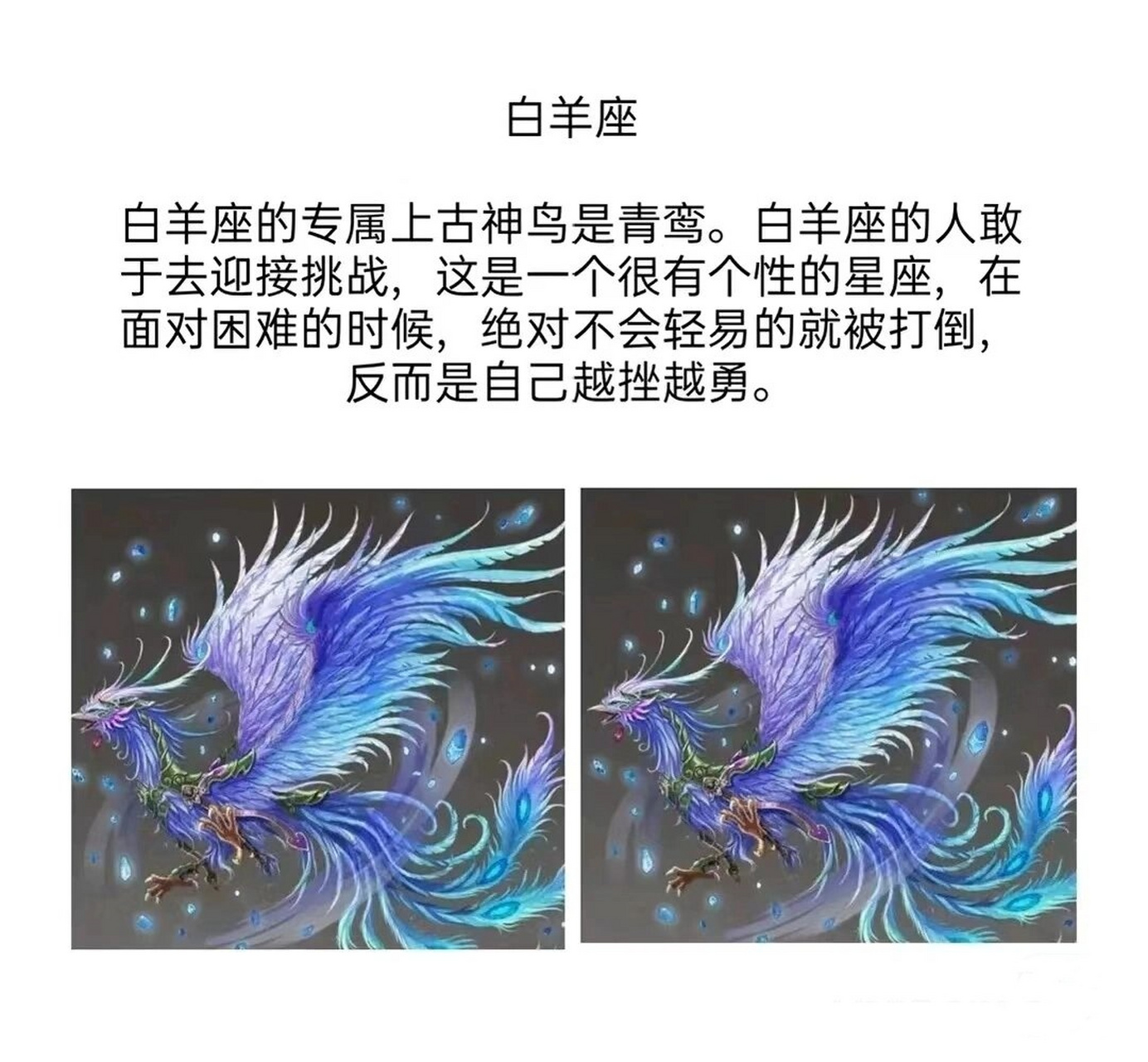 古代十二神鸟星座图片