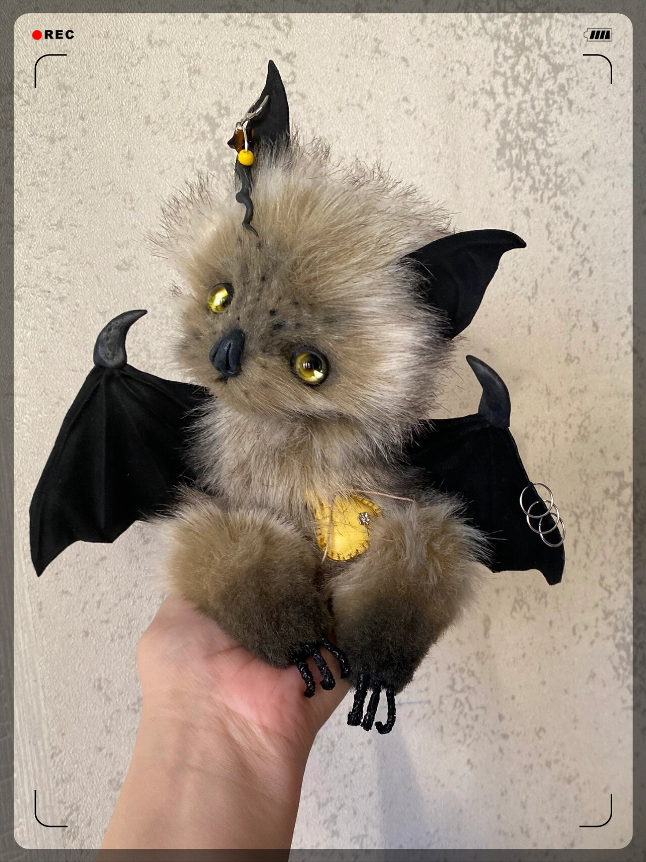 蝙蝠是夜行动物,通常被认为是神秘和令人着迷的