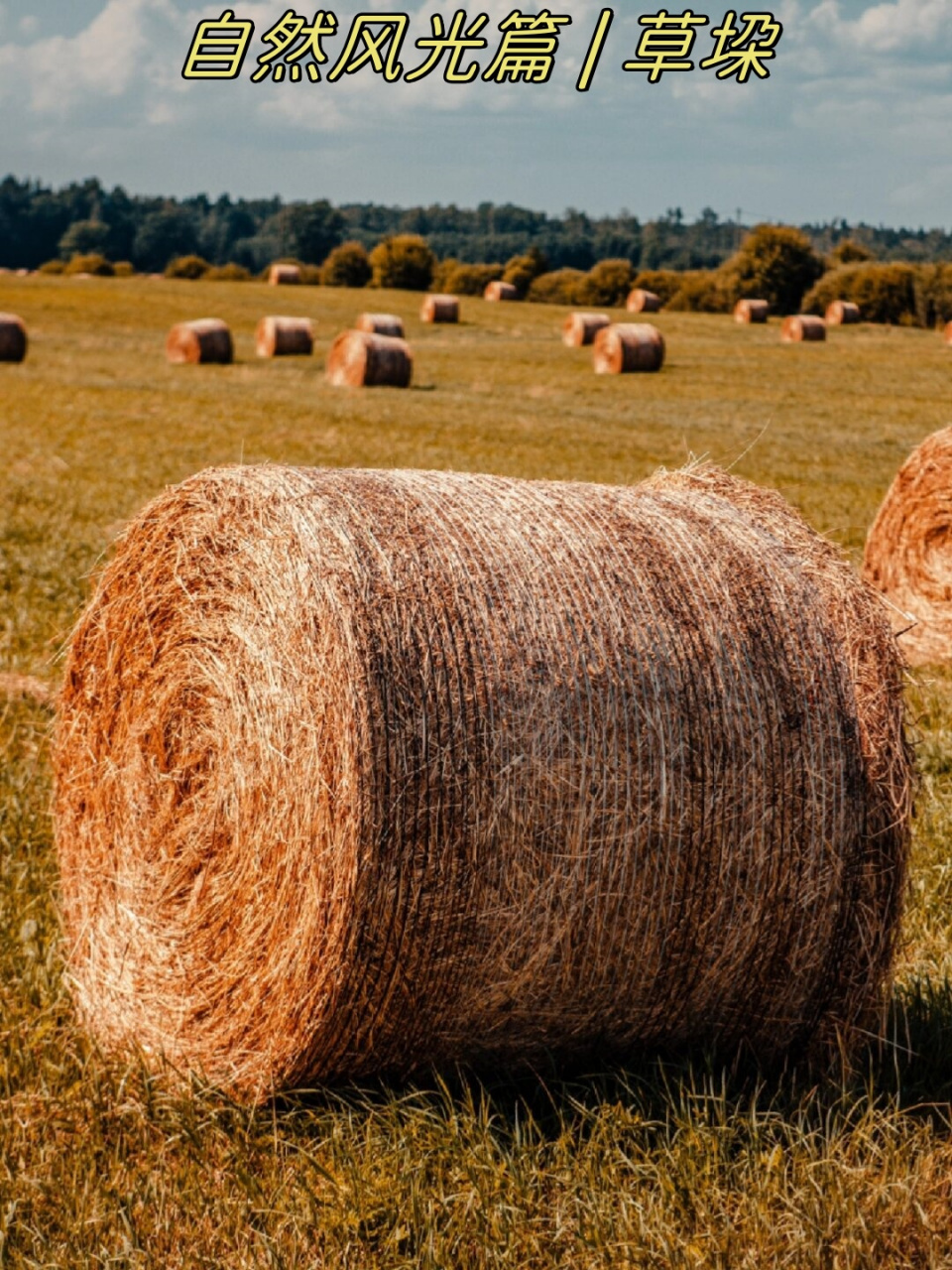 自然风光篇 | 草垛  在乡间的田野,或者在秋日的傍晚,你可能会看到一