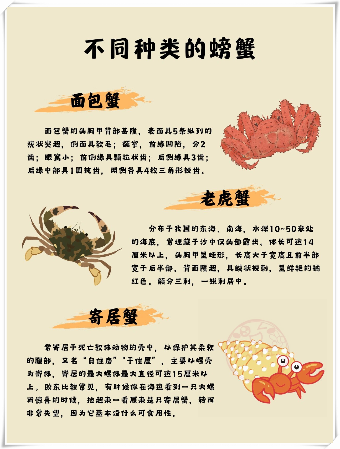 它们生活在海洋中,身形独特,给人留下深刻的印象.