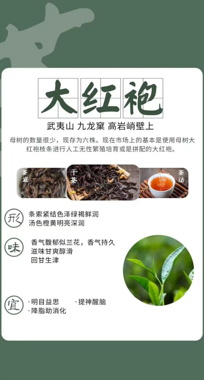 武夷岩茶十大名枞图片