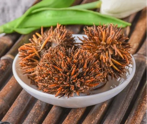 中药刺猬皮功效解析:固精缩尿,收涩止血,化瘀止痛【参考】  中药刺猬