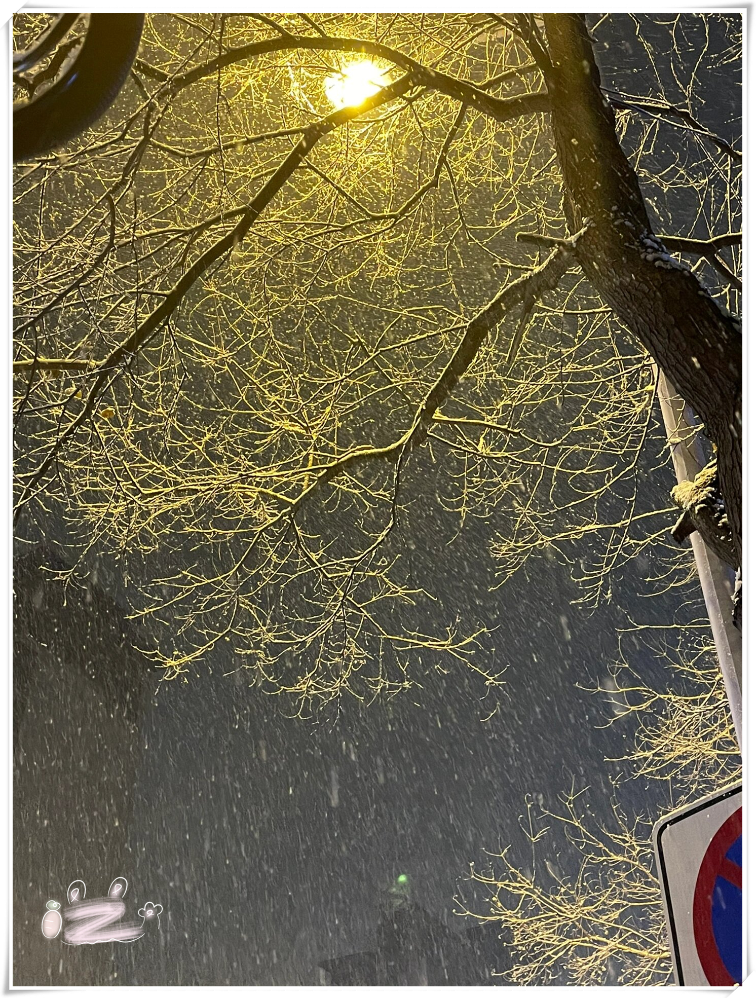 每一粒雪花都是大自然的馈赠每一片白茫茫都是冬天的独特韵味