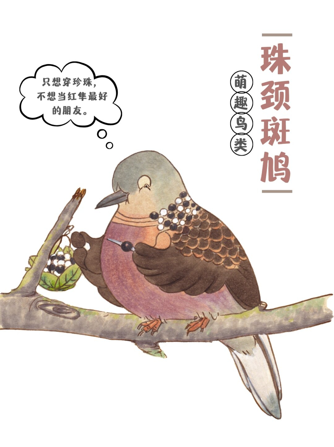 萌趣鸟类海报～珠颈斑鸠