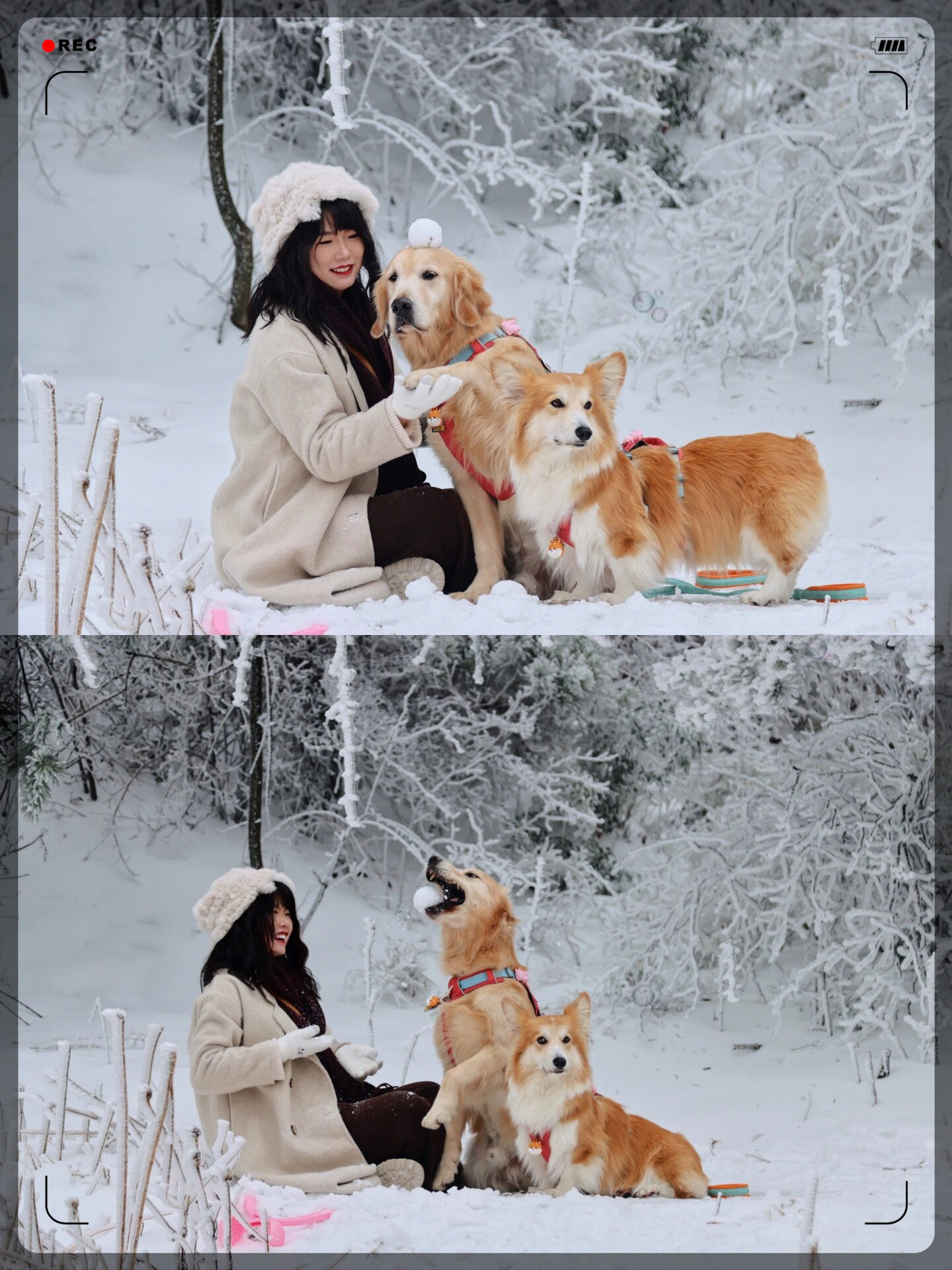 冬天来了南方的小朋友也要拥有玩雪的快乐鸭 一看到天气预报说庐山
